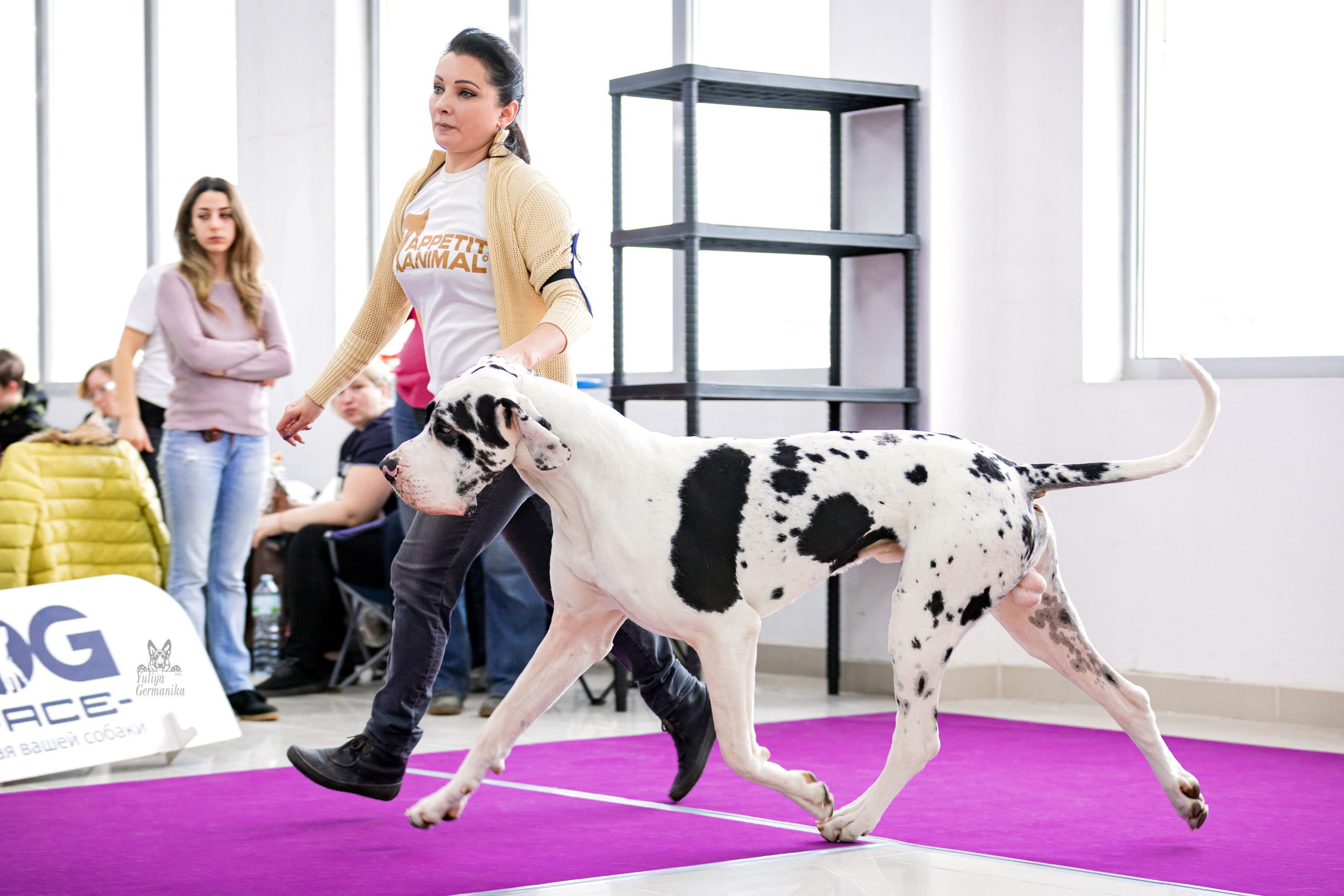 Можайский двор 11-12.02.2023. Фотограф-анималист Юлия Германика