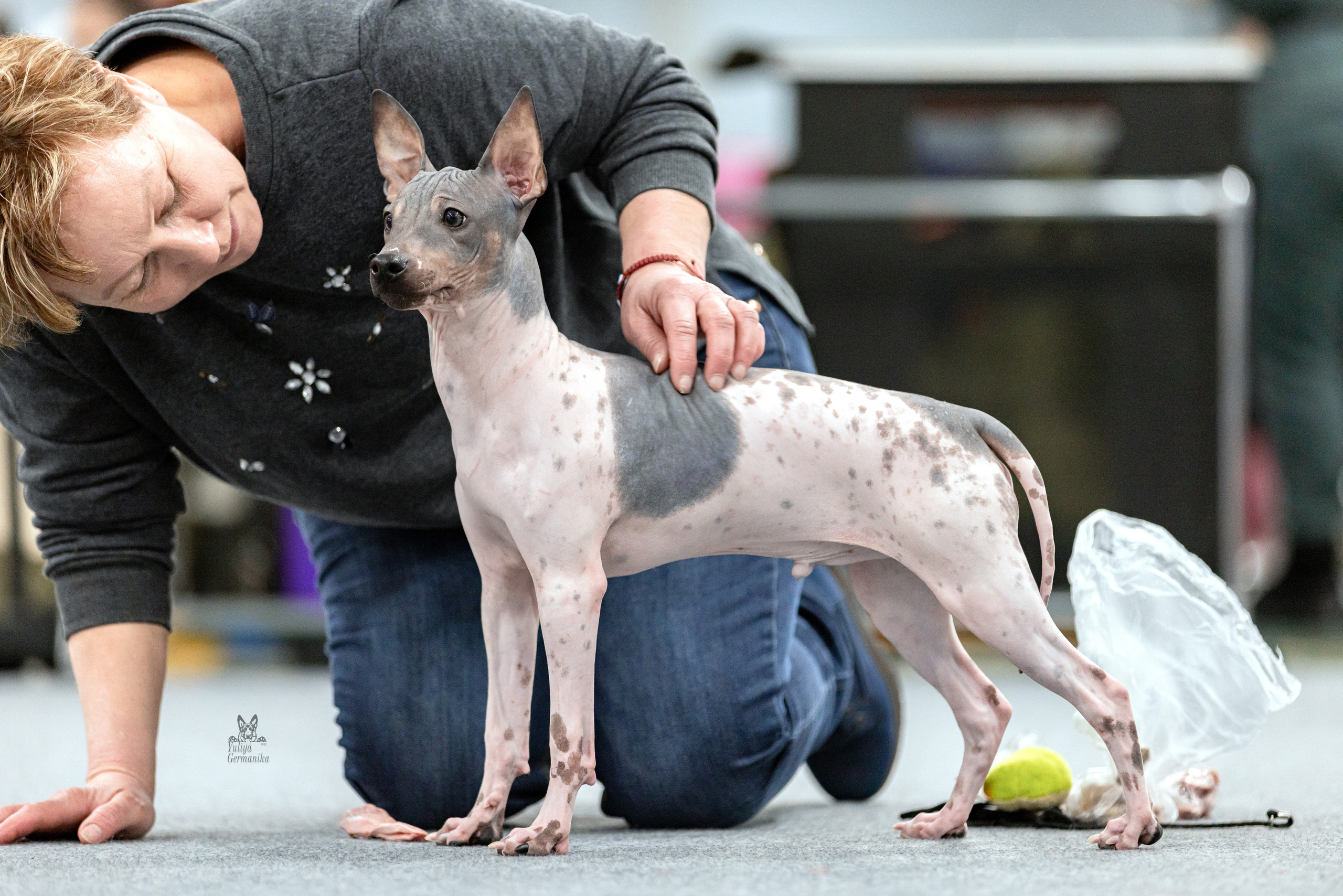 Сфера 5.03.2023. Фотограф-анималист Юлия Германика