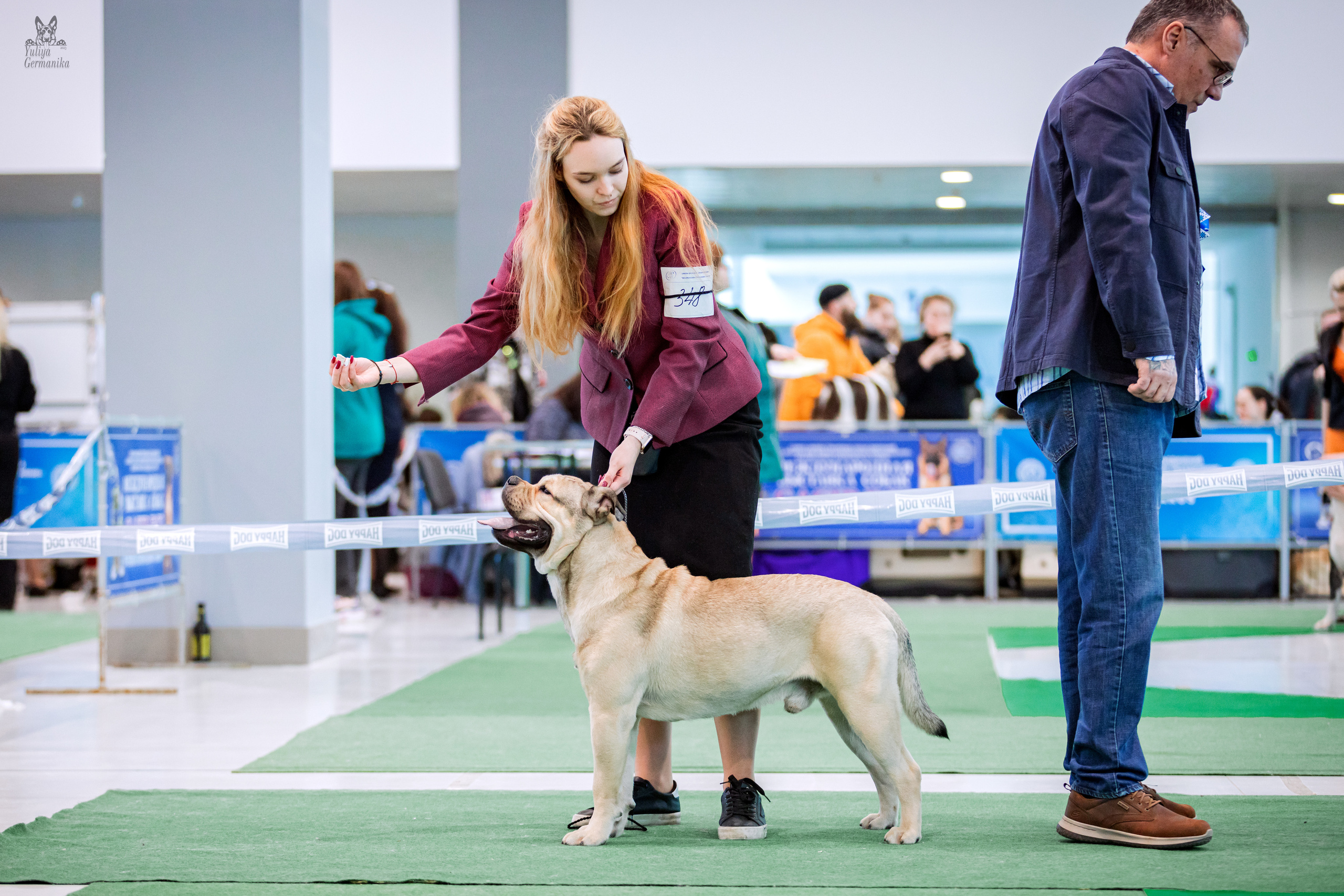 Минск 25-26.02.2023. Фотограф-анималист Юлия Германика