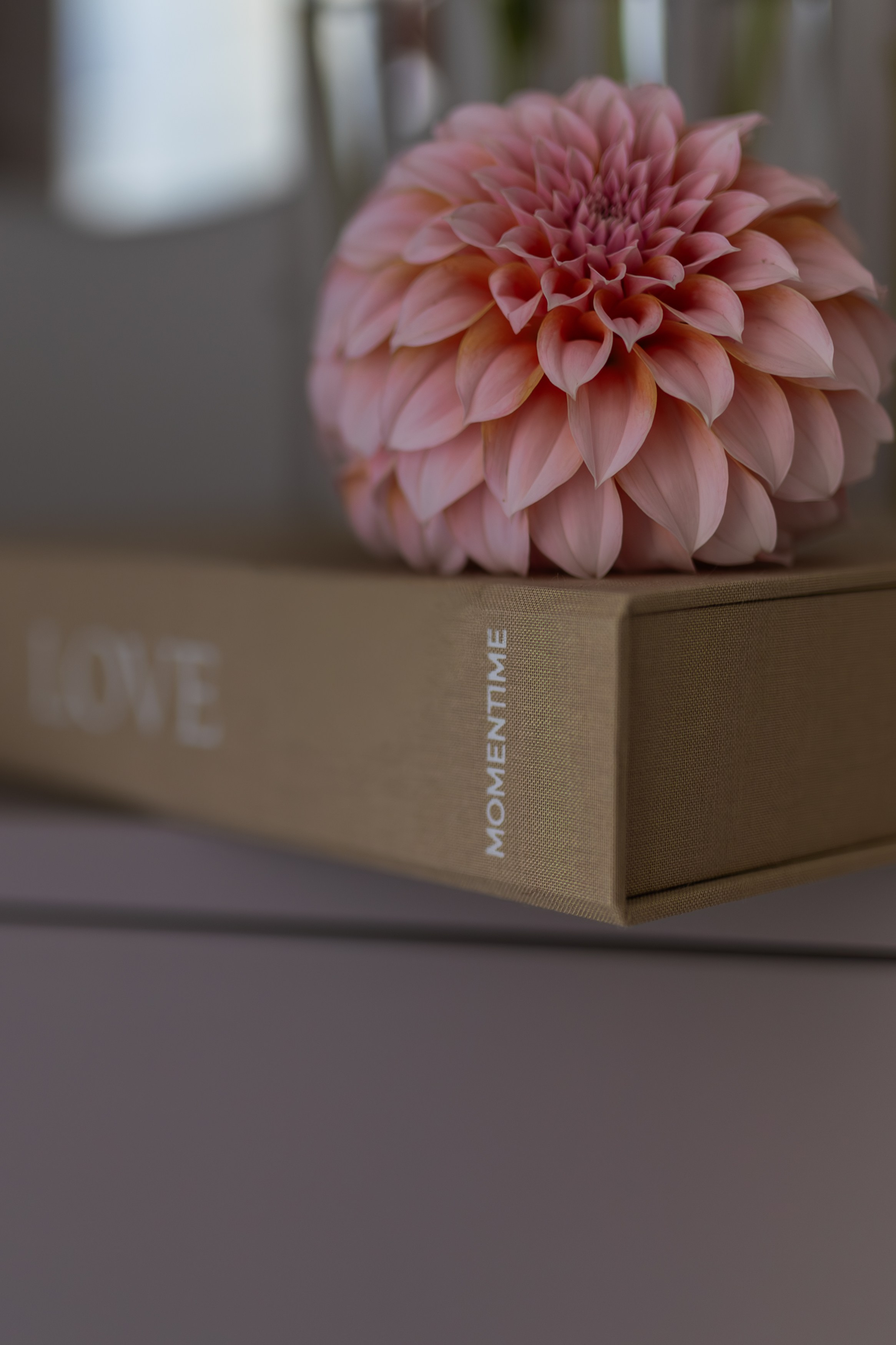 Контент-съемка (для профессионалов). Фотограф Антонина Знак. Семейные фотосессии. Москва и МО