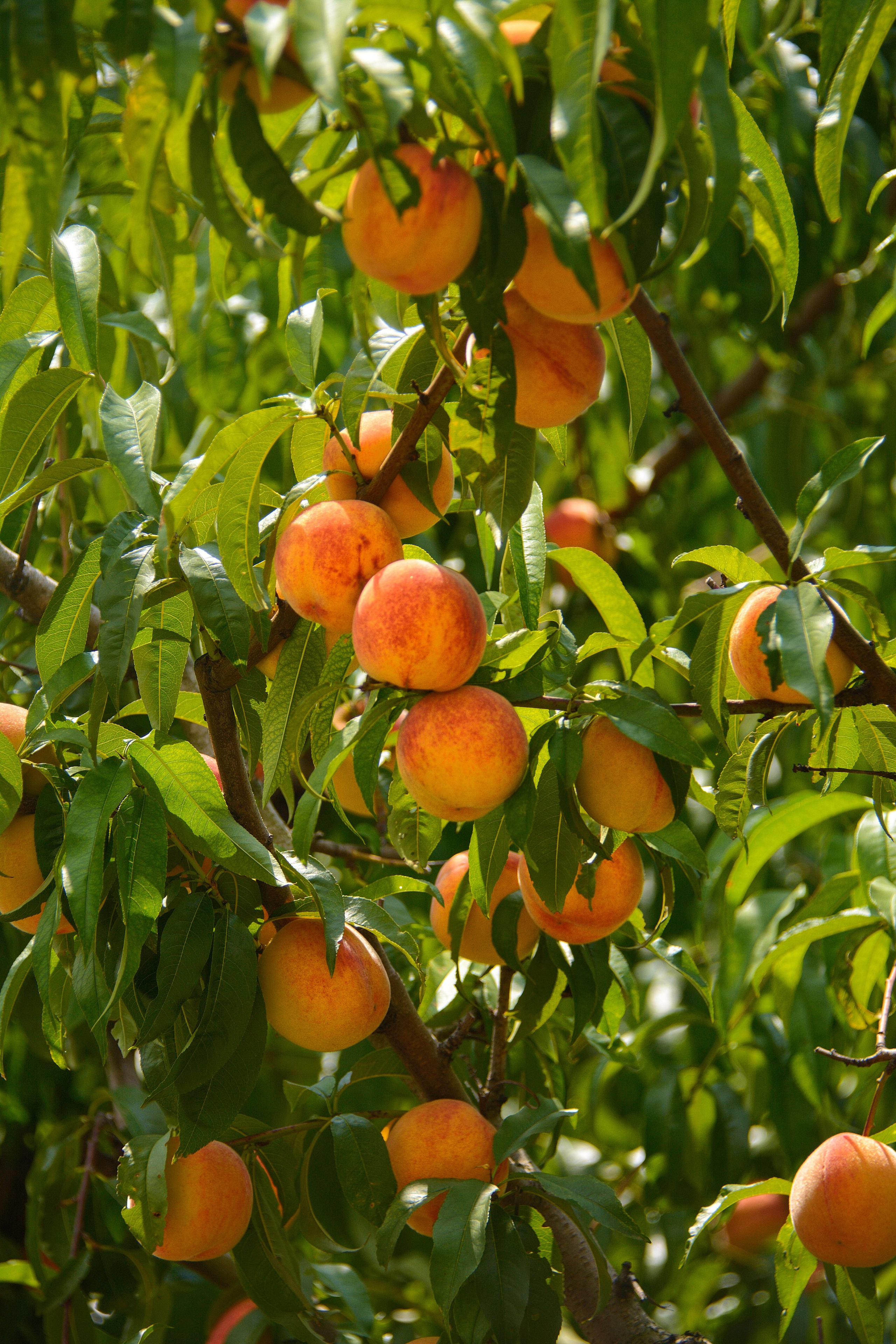 Мои работы. Фотограф Ваших событий 📸