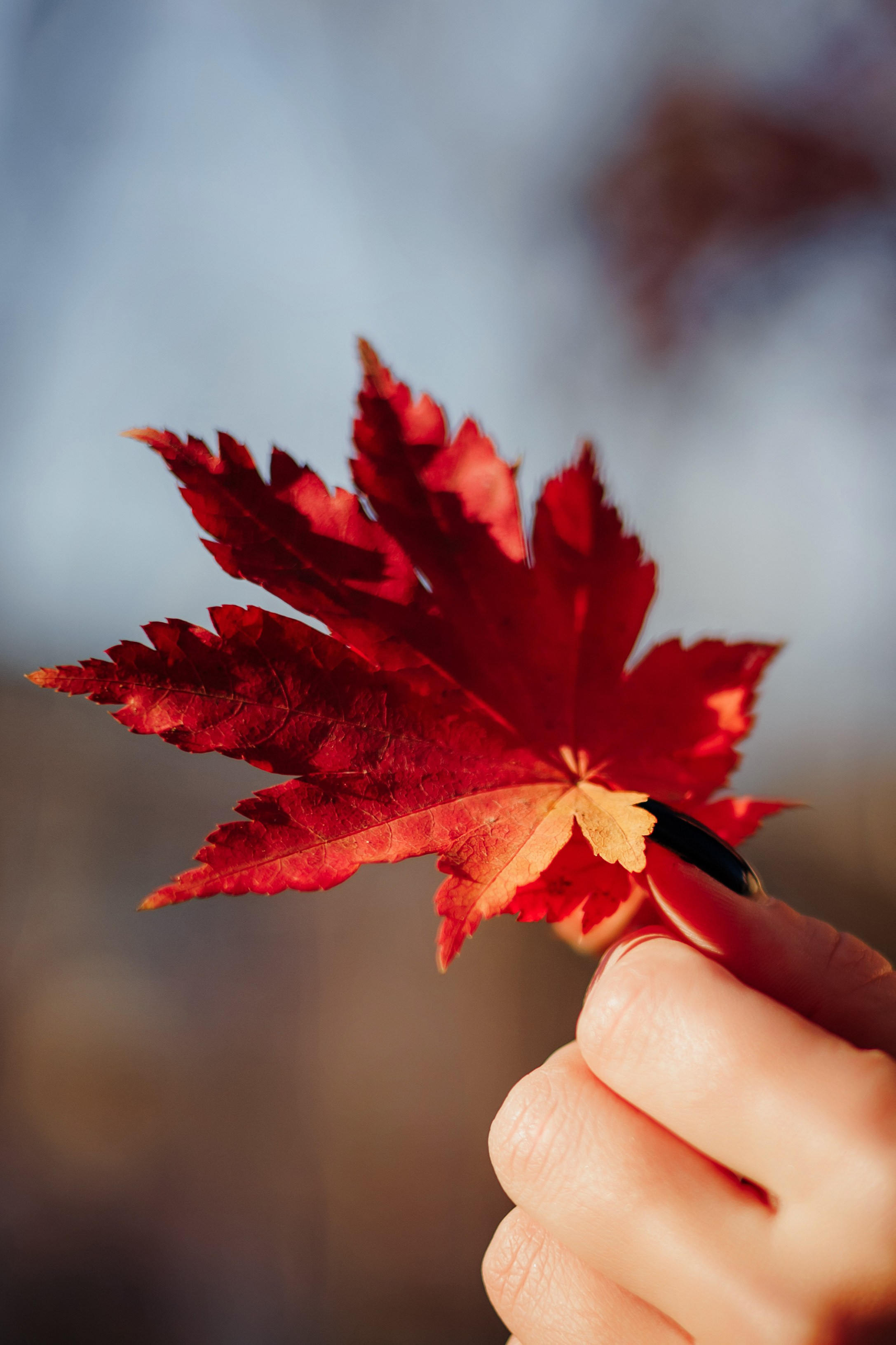 Фотограф биробиджан. Детский и семейный фотограф  Биробиджан Оля Светагор