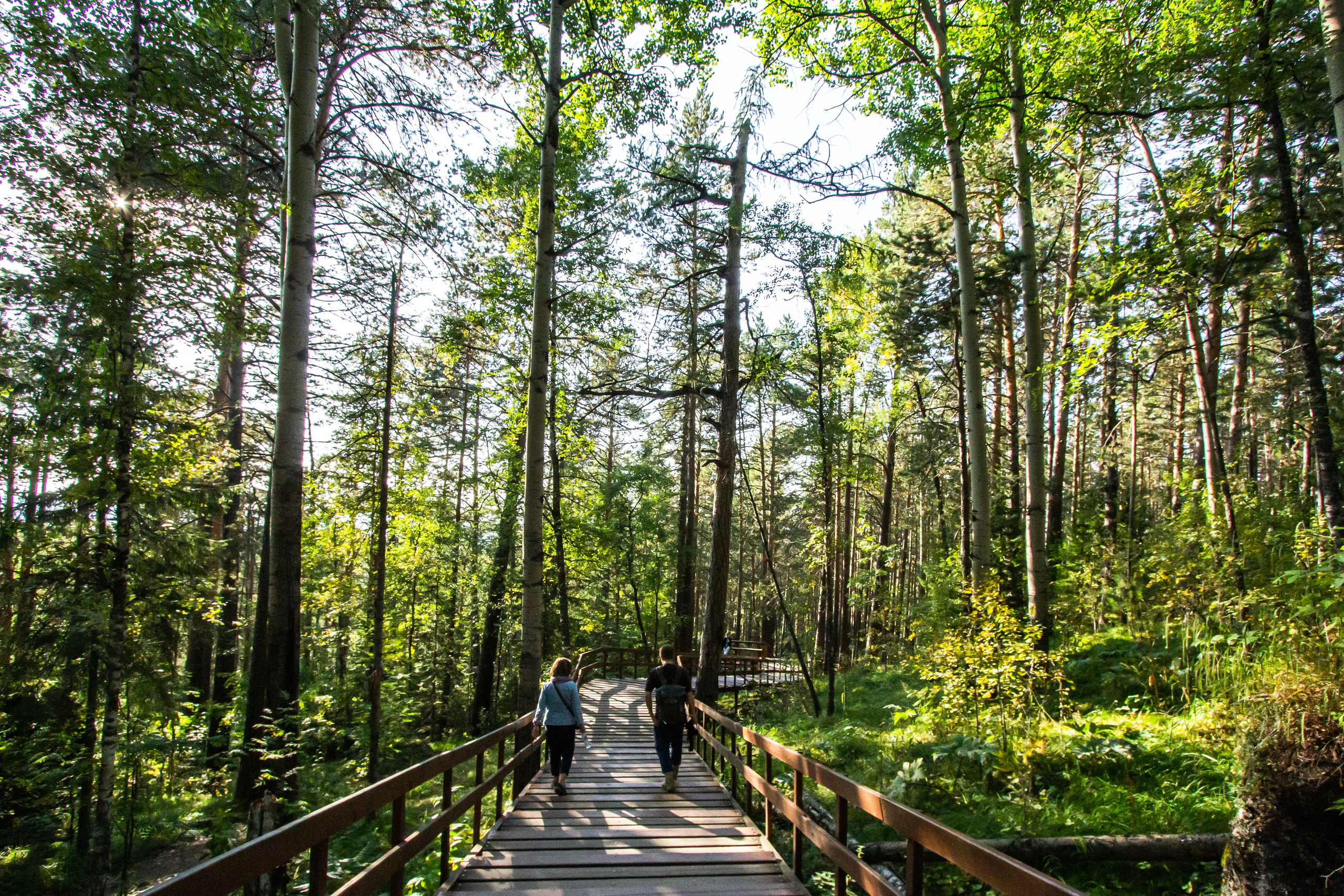 Красноярские столбы. Travel-фотограф Ирина Милинцова