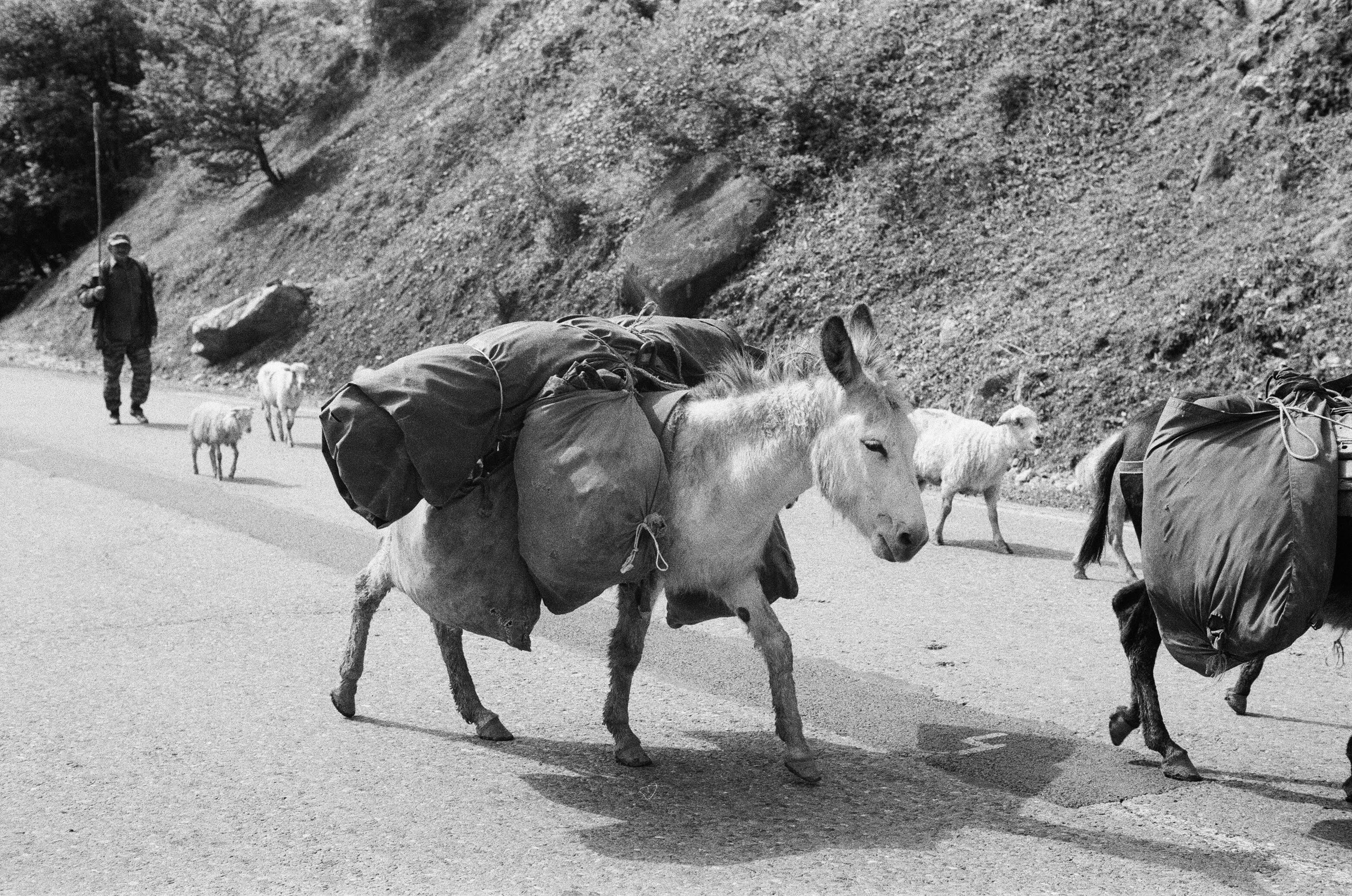 Georgia BW. Aleksander Chernov — Documentary filmmaker and photographer