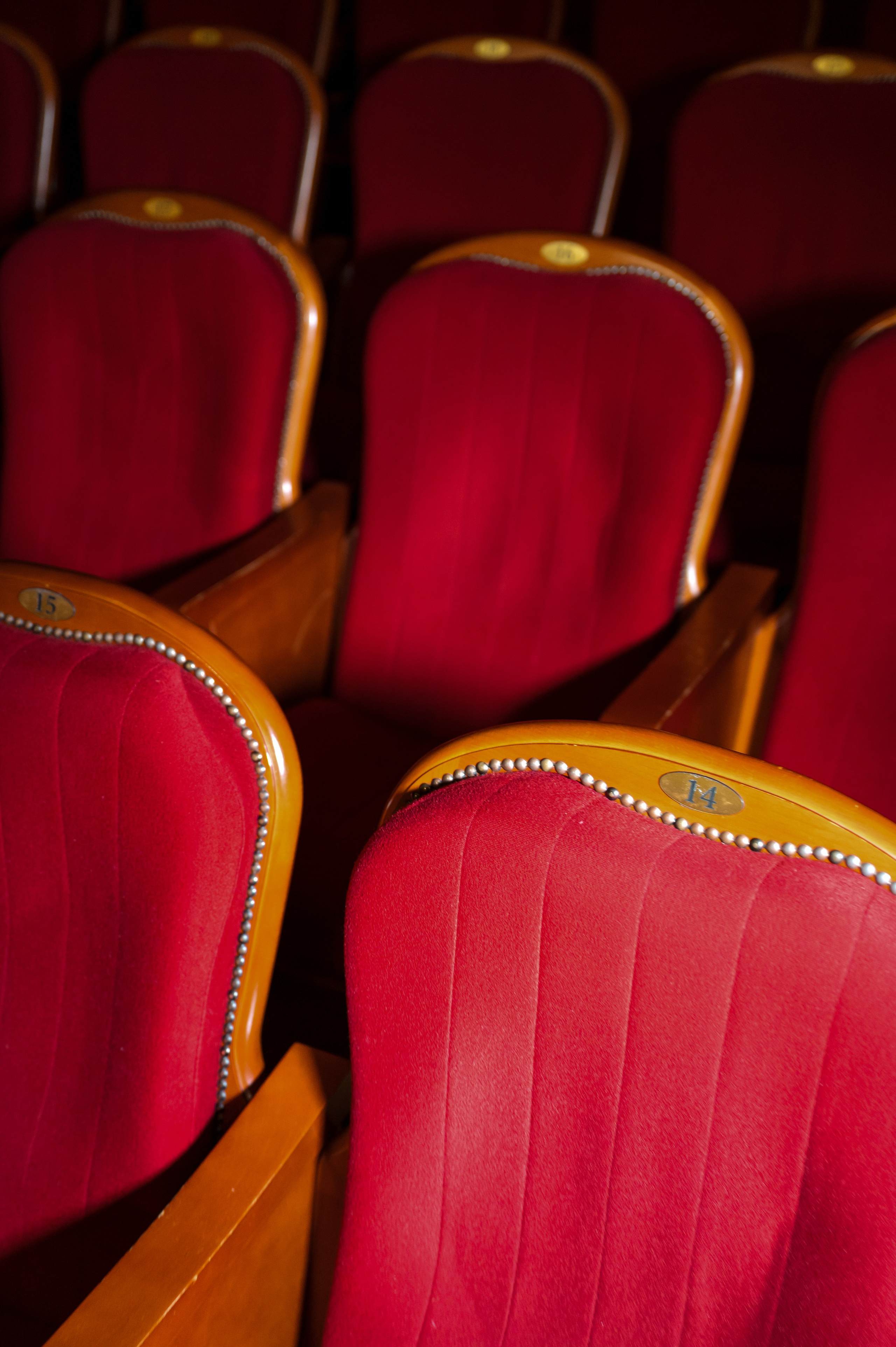 Александр. Свадебный и портретный фотограф в Белгороде Олеся Гавшина