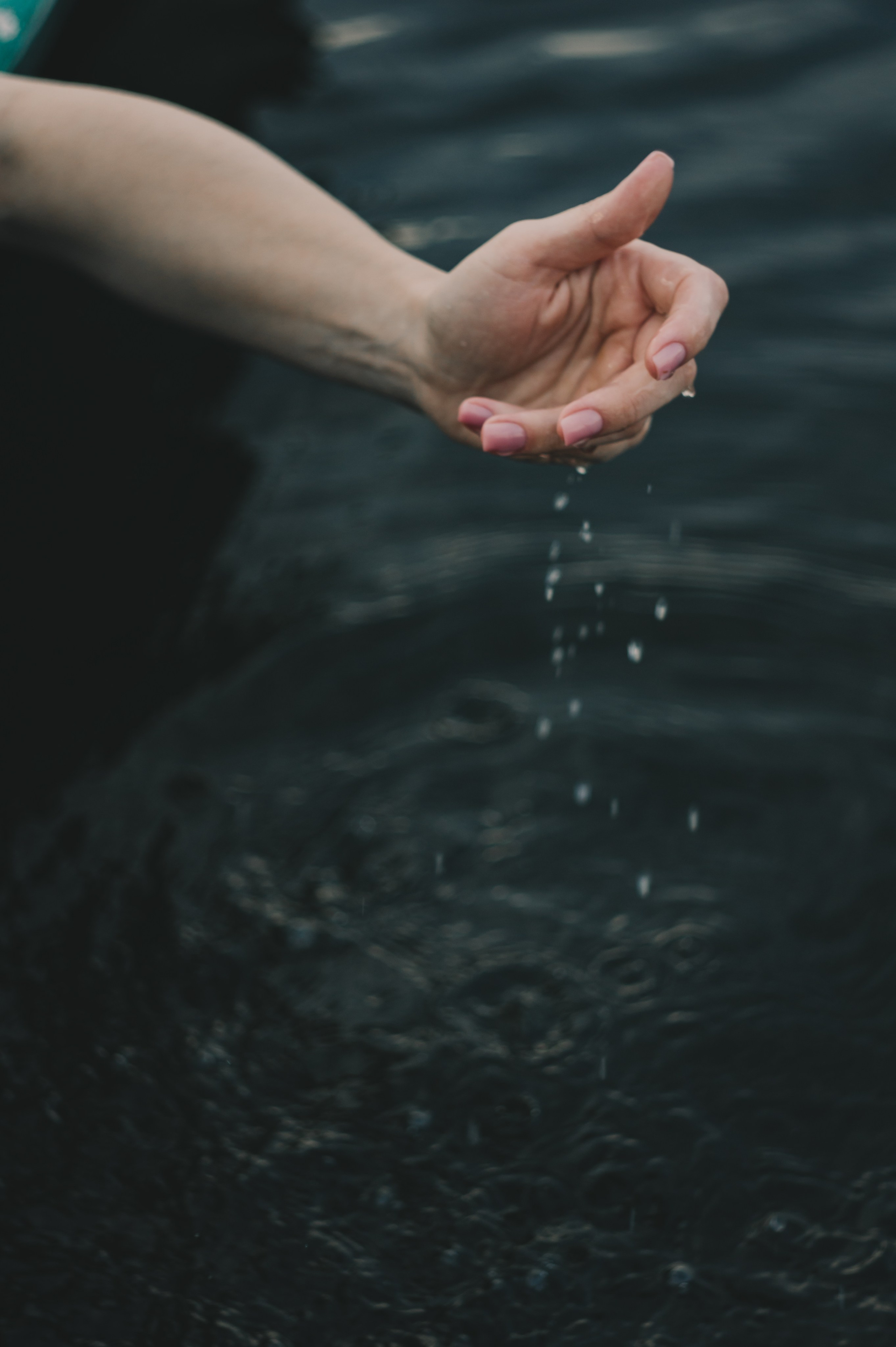 Прогулка по воде. Фотограф Людмила Белова