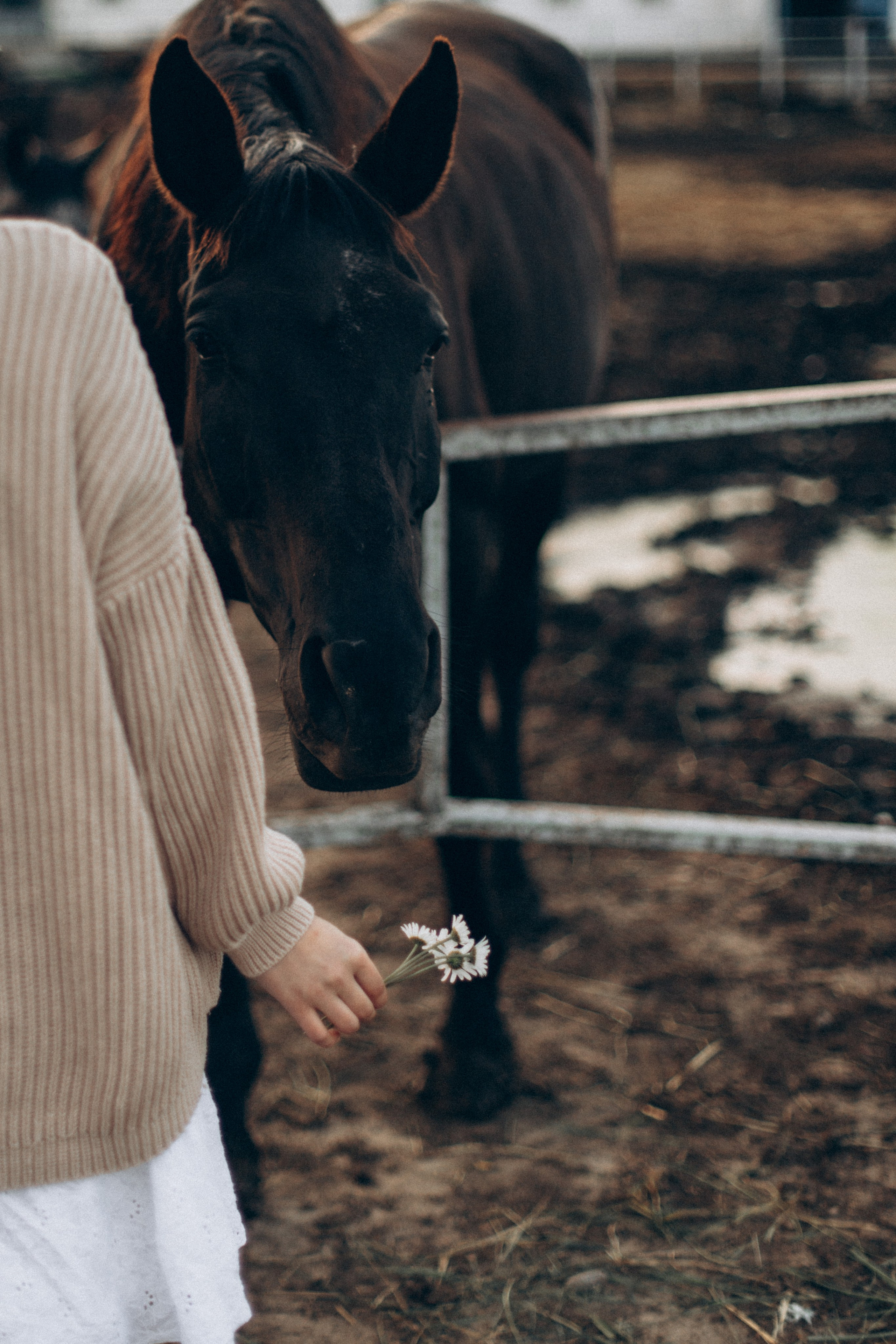 Что-то на закатном. Репортажный и детский фотограф в Минске