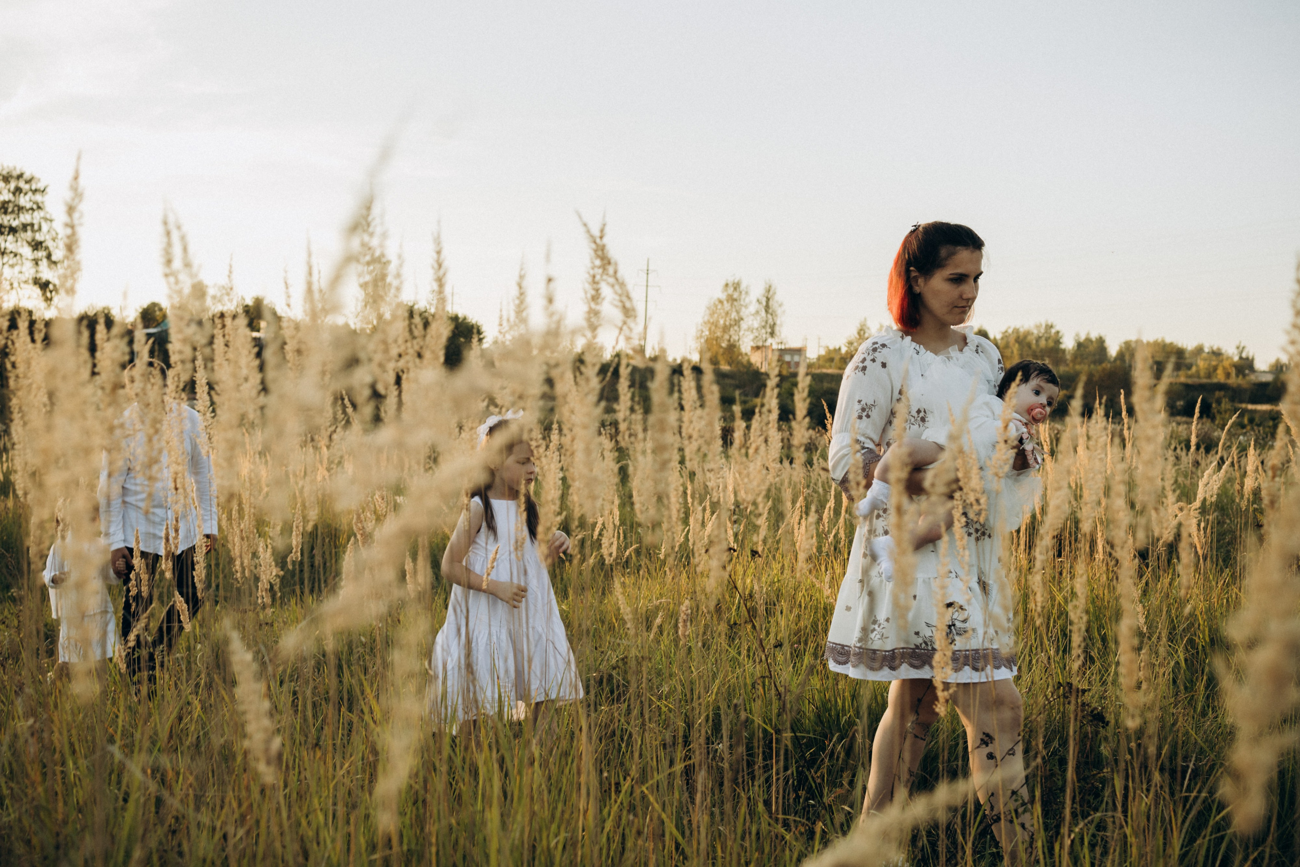 Семейная в поле. Фотограф Ярославль|Кострома|Нерехта Гундерина Светлана