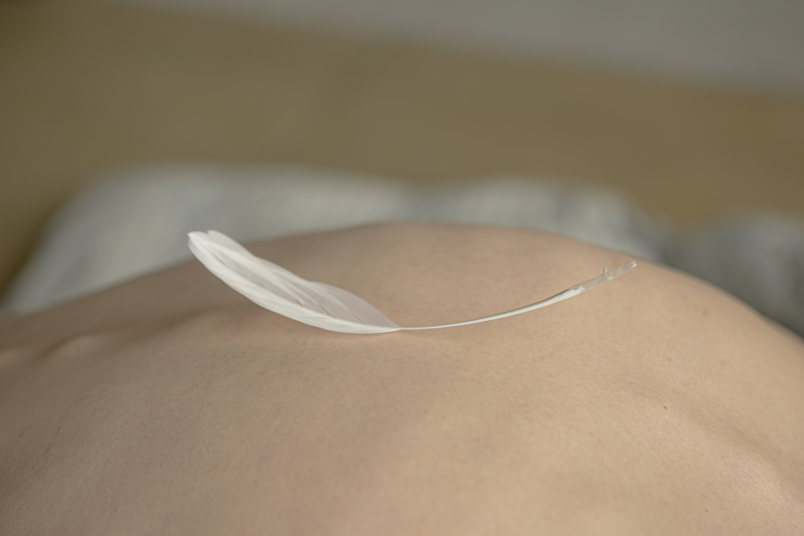 Ultimate transparency. Art photographer Romanda Che