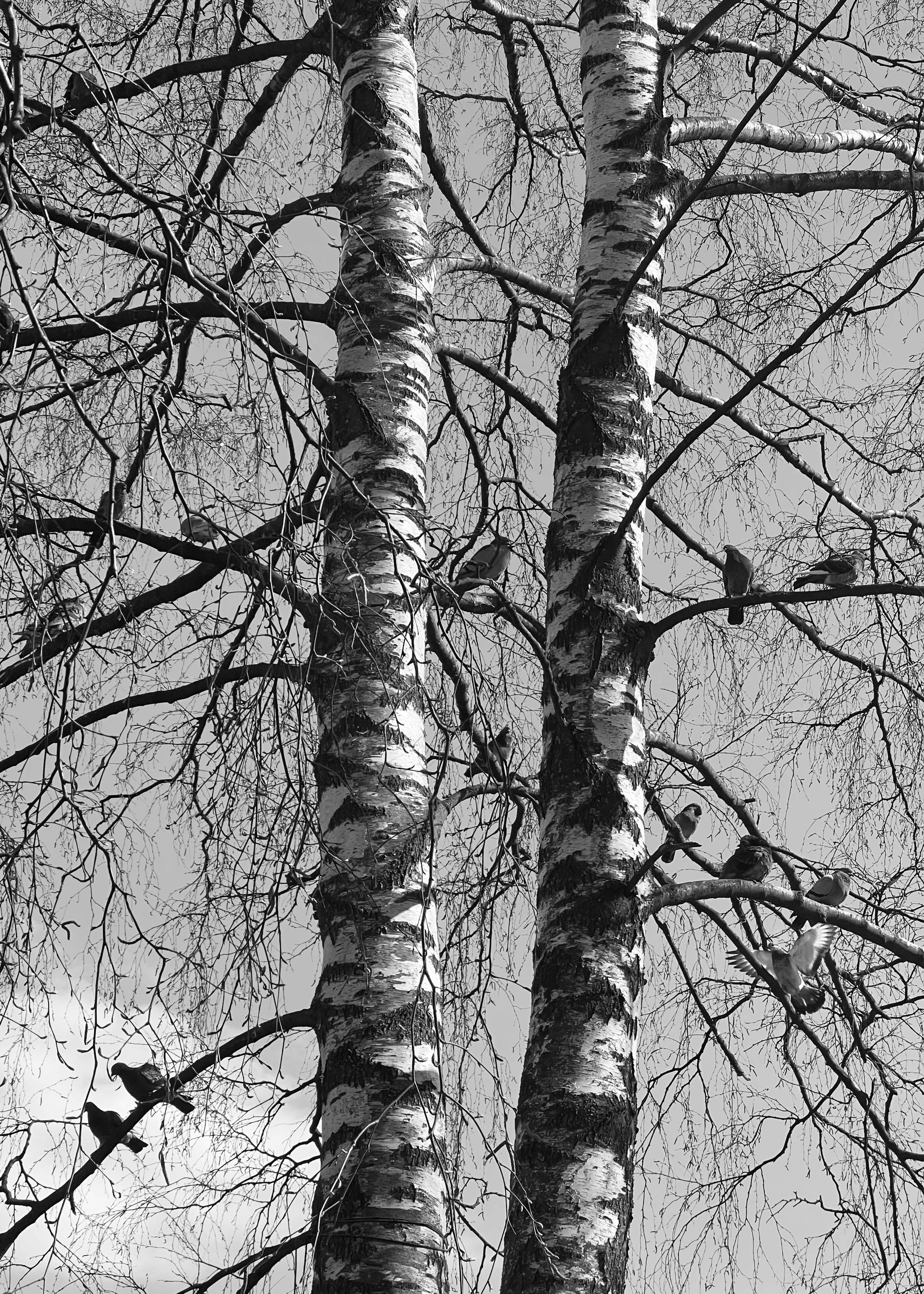 Frame 34 / 34 кадр. Художник Катерина Копейкина / Artist Katerina Kopeikina