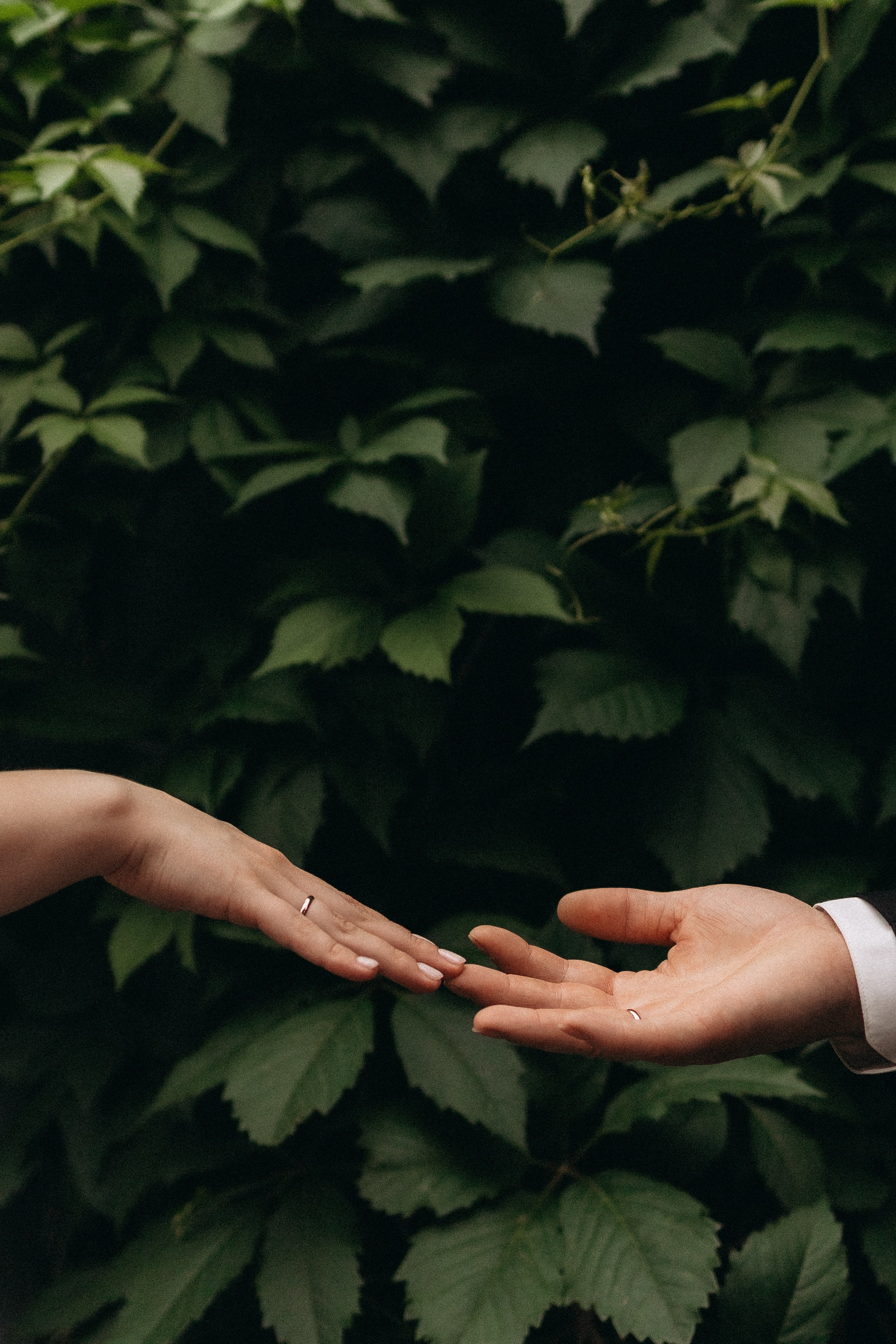 Денис и Галина. Смирнова Алена Фотограф Екатеринбург