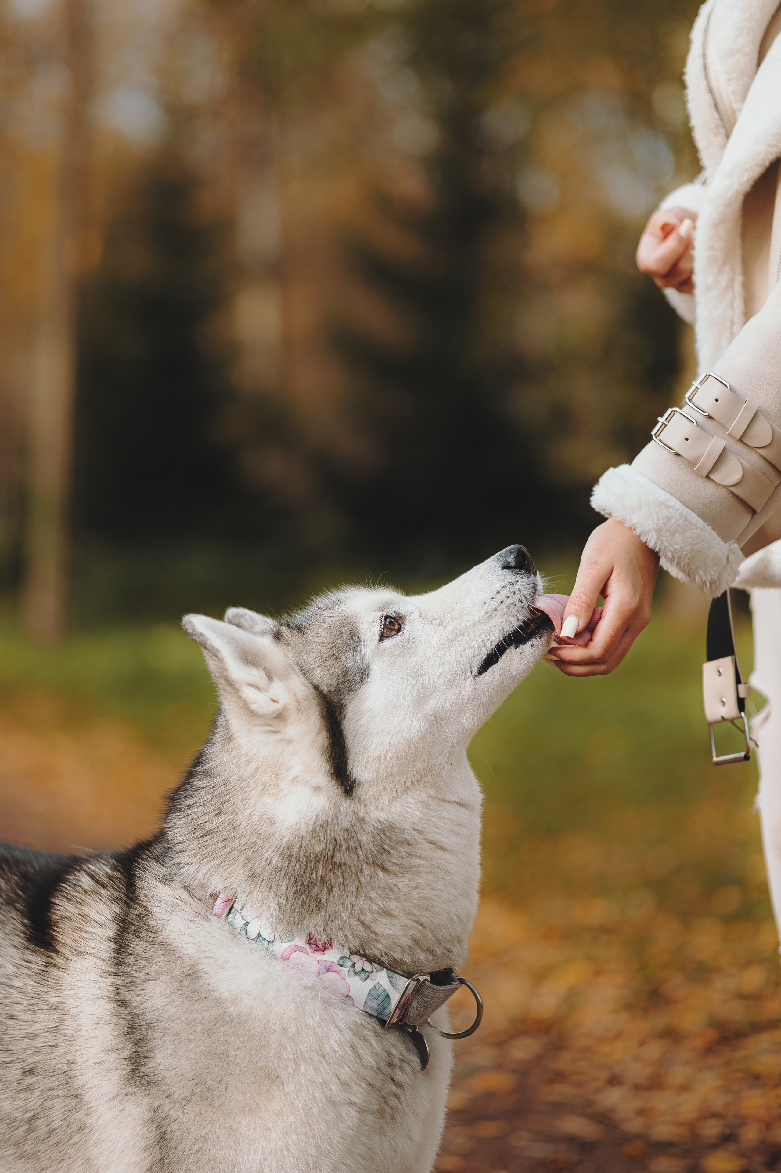 Настя и Айс. Фотограф-анималист в Санкт-Петербурге Алина Яхонт