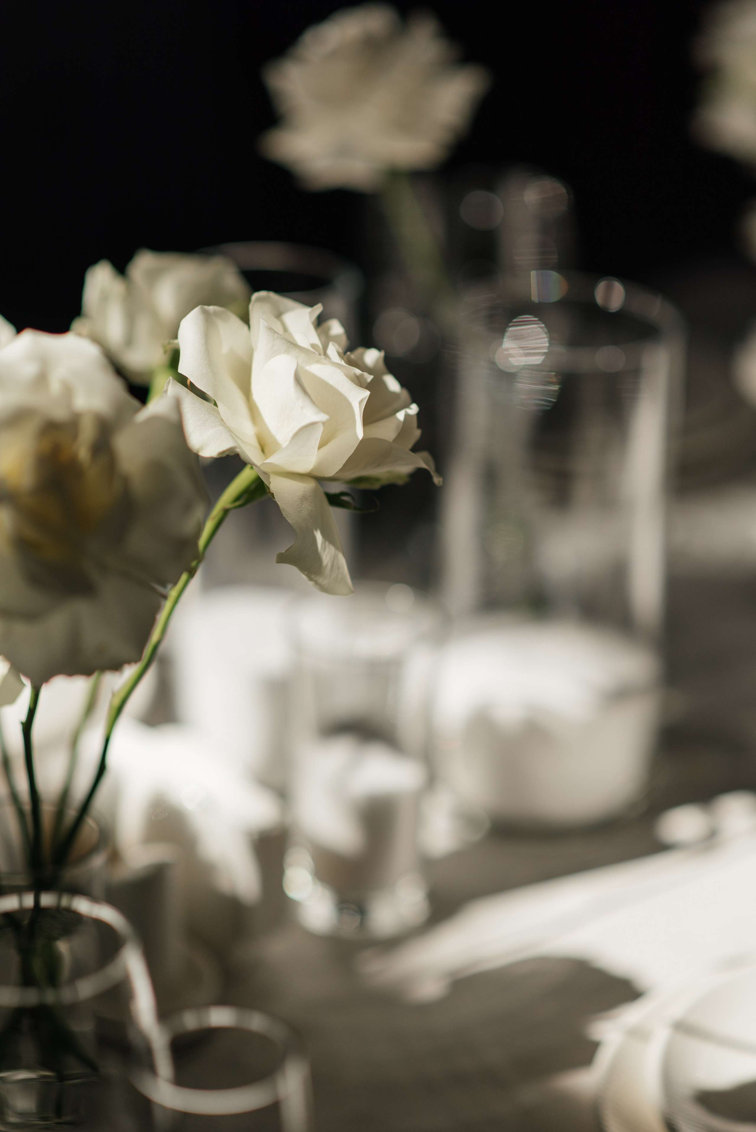 Свадьба Владимир и Ксения Курск. Свадебный фотограф Белгород