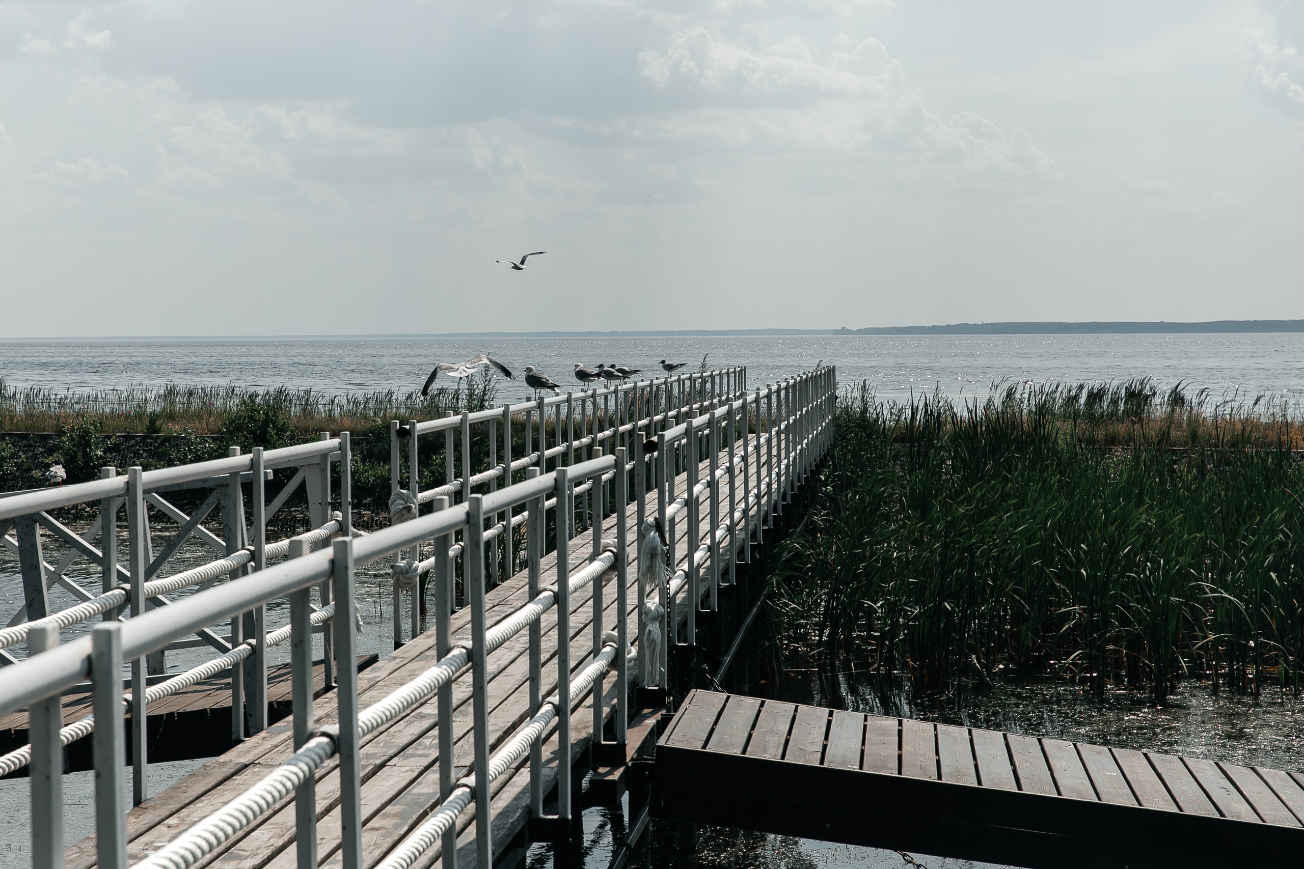 Дима & Таня НН — шатер море. Свадебный фотограф в Нижнем Новгороде — Эдуард Смирнов