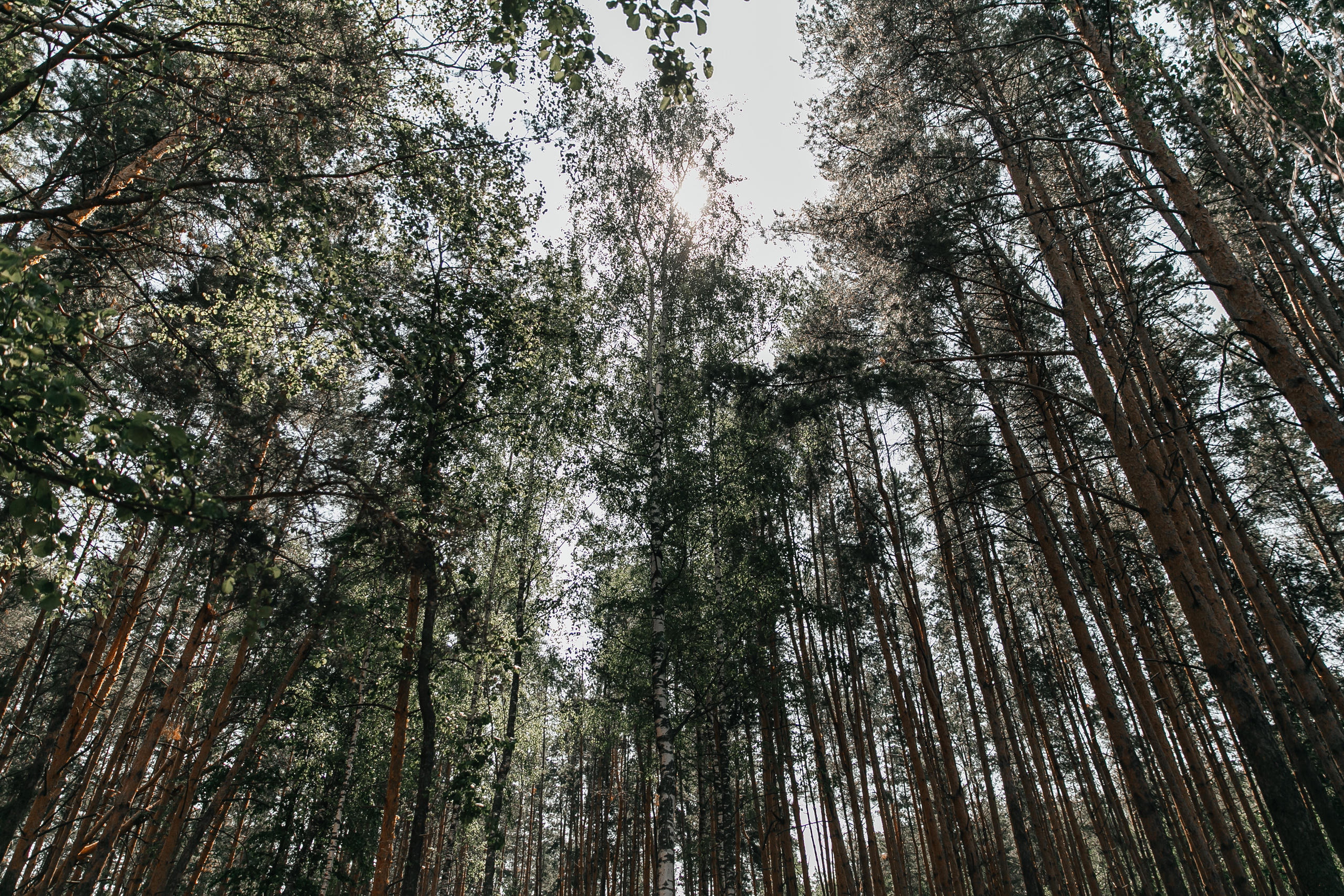 Дима & Таня НН — шатер море. Свадебный фотограф в Нижнем Новгороде — Эдуард Смирнов