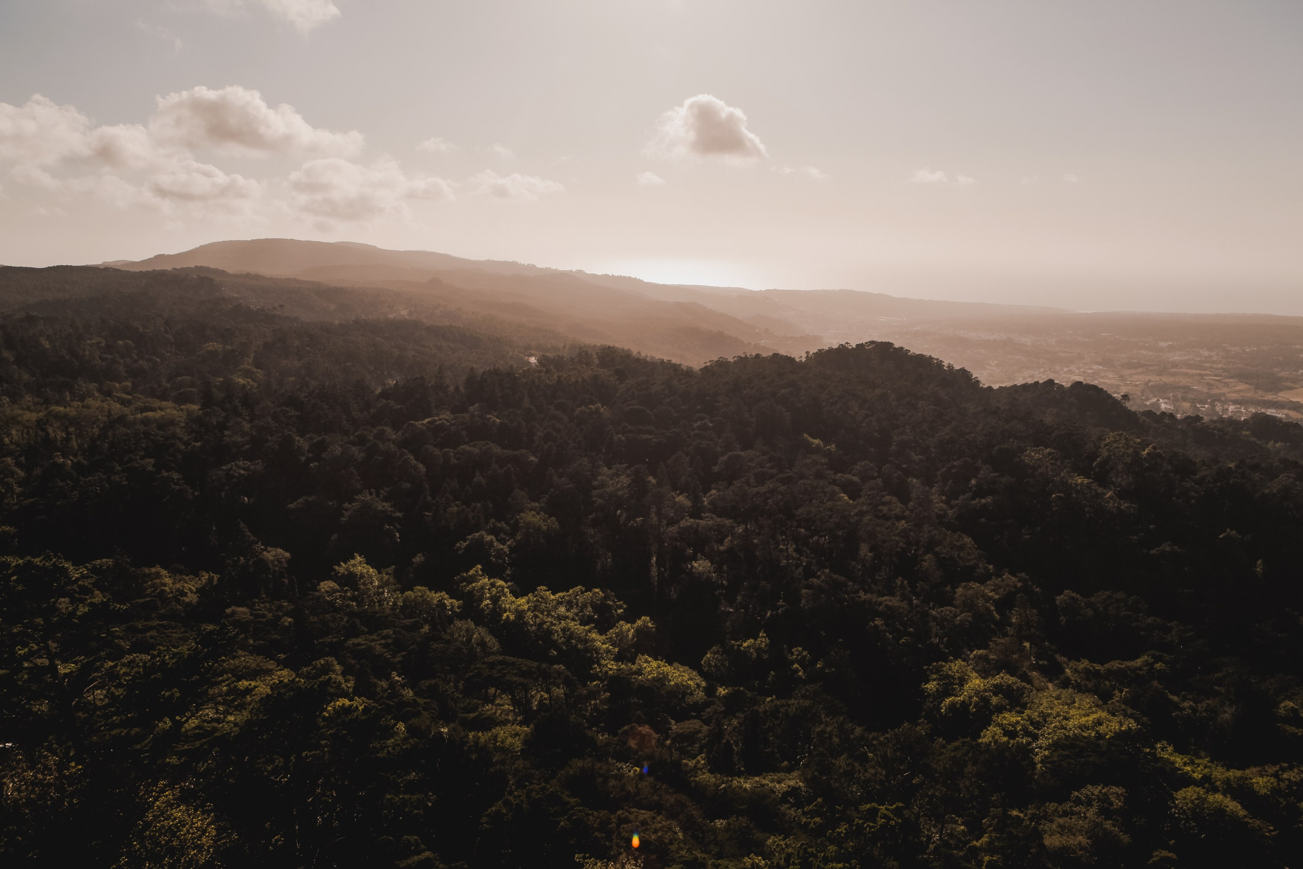 Португалия. Виолетта Скрипка