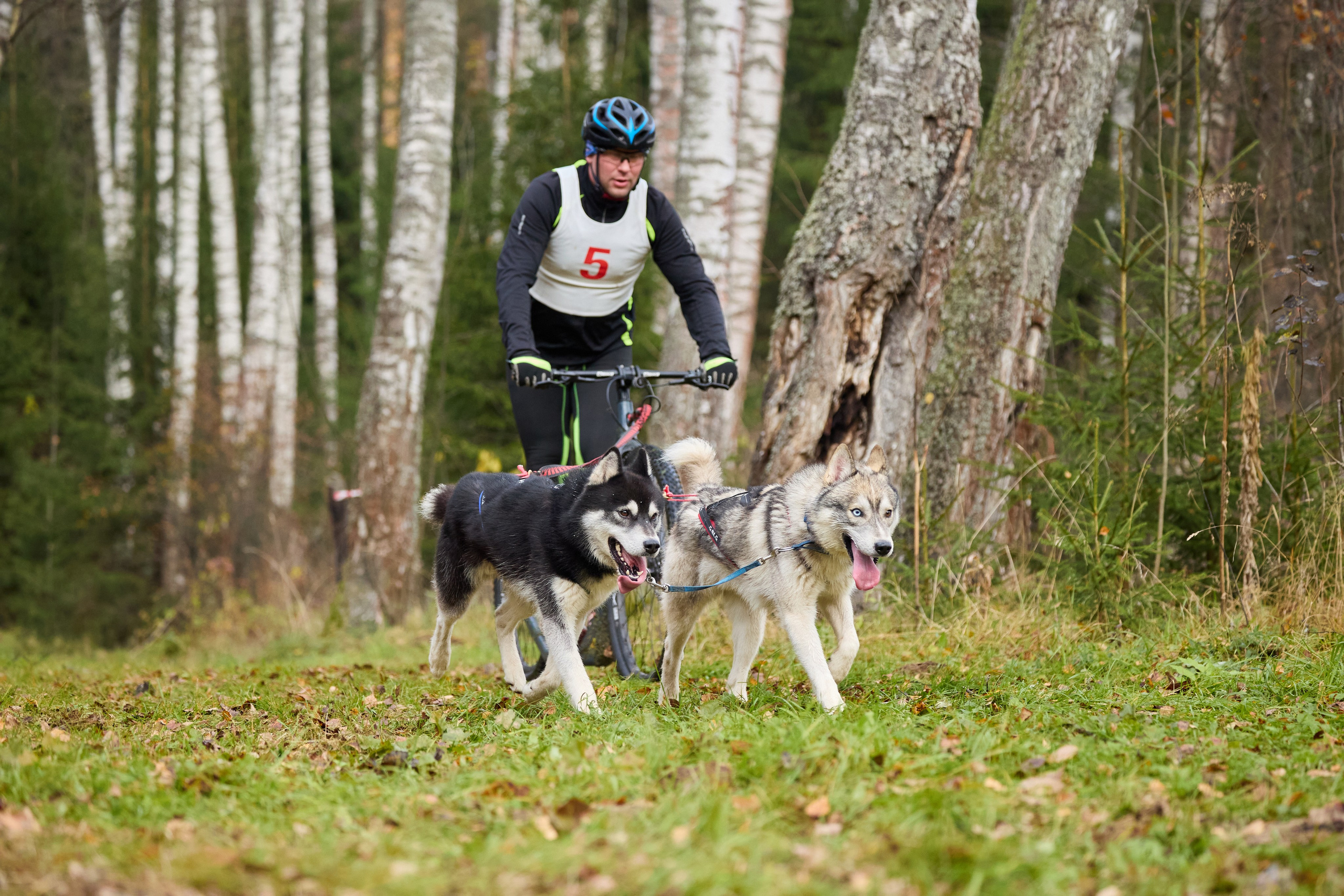 Чемпионат по ЕС Ярославской области. Фотограф Ирина Астор