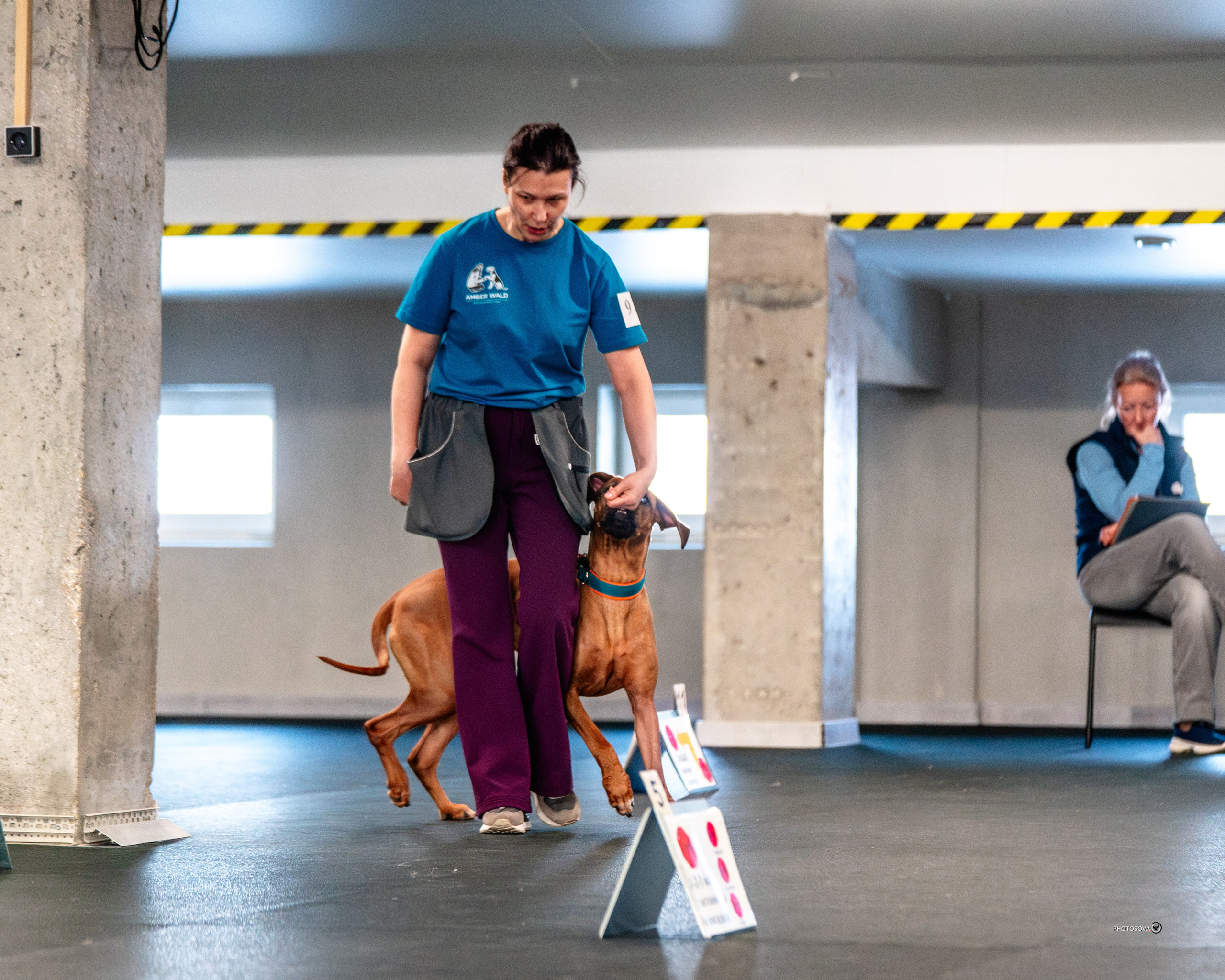 ТЫ И Я (соревнования по ралли-обидиенс). Фотограф-анималист, семейный фотограф в Москве и Подмосковье. Фотосъёмка кинологических дисциплин