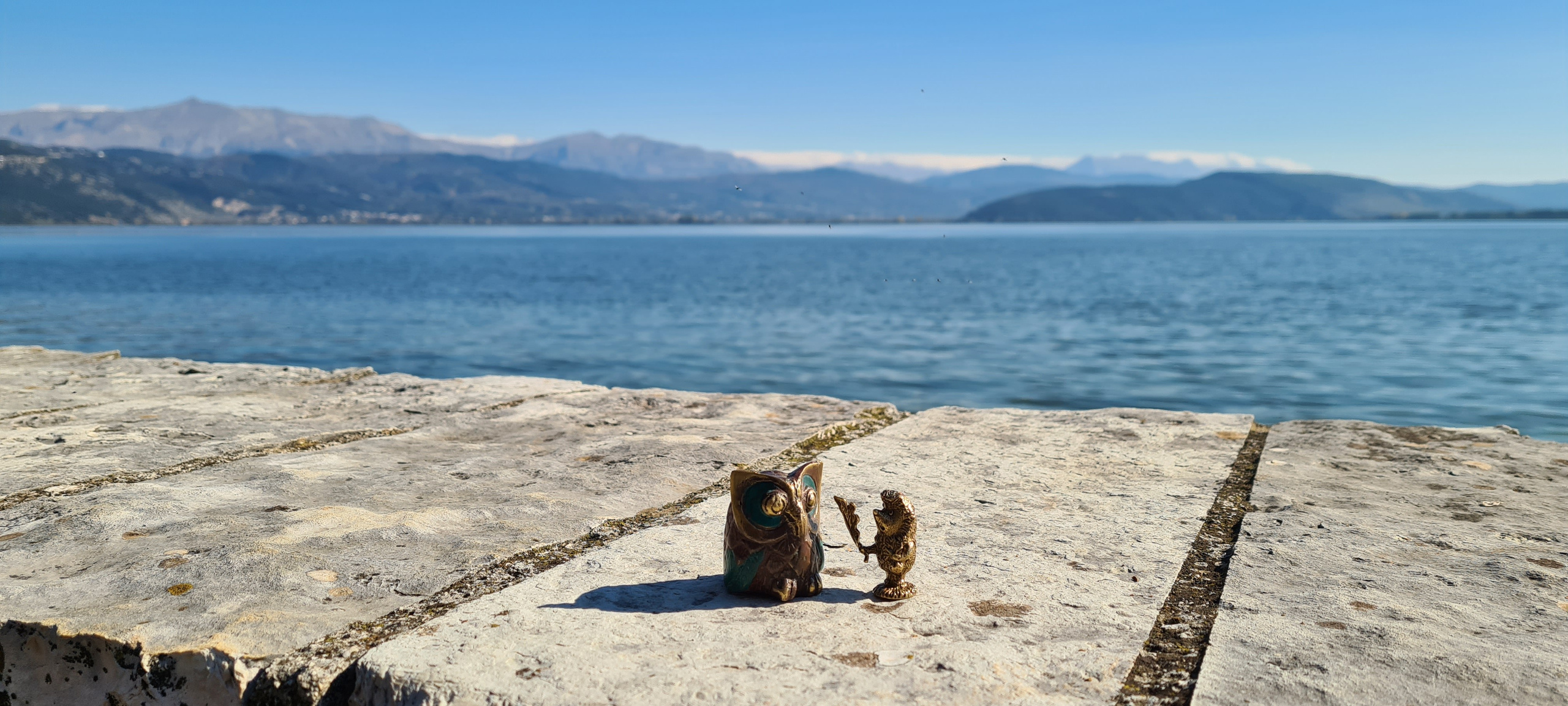 Ёжик и сова. Фотографии