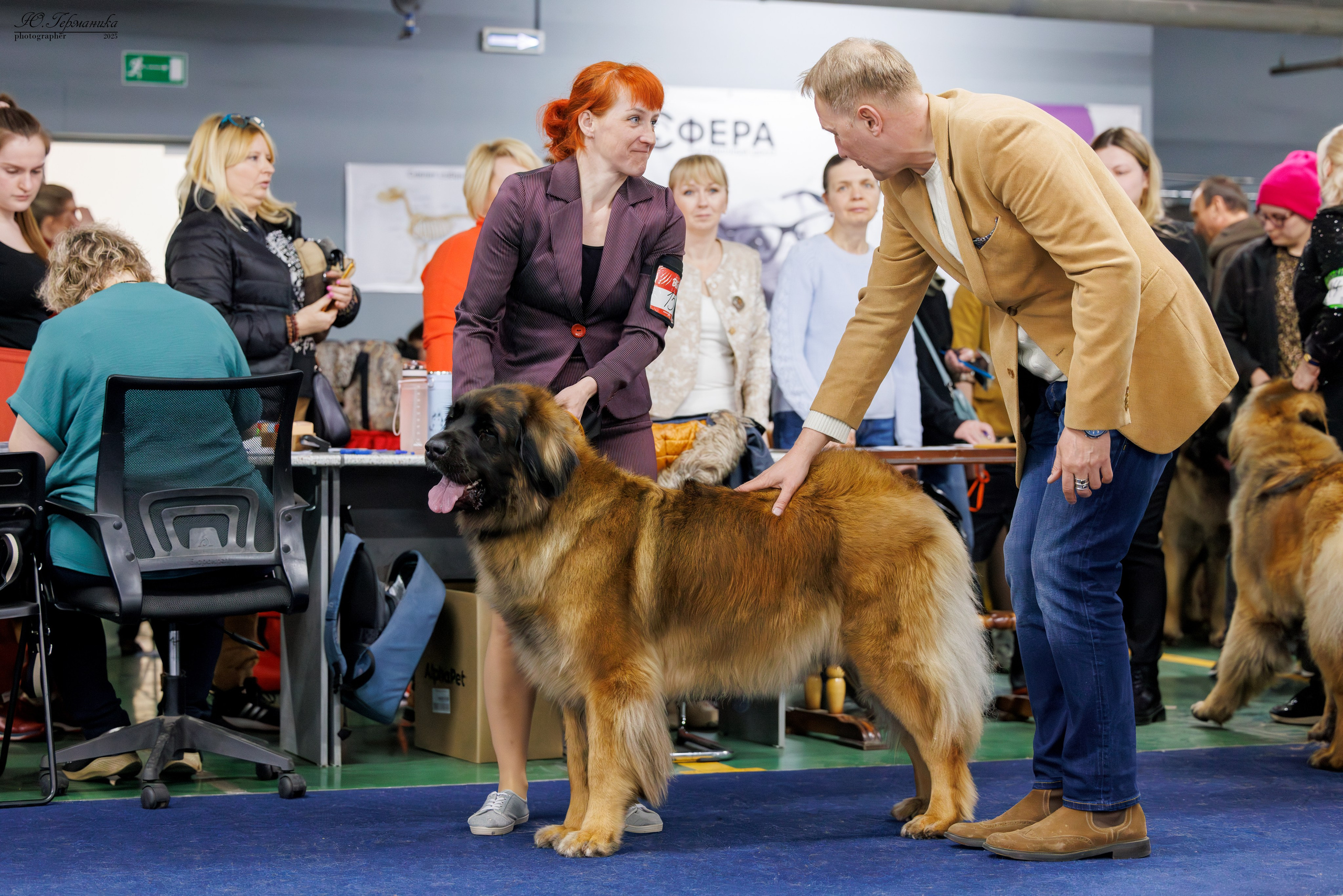Тверь 12.04,Сфера 13.04,Сергиев Посад 19.04.2025. Фотограф-анималист Юлия Германика