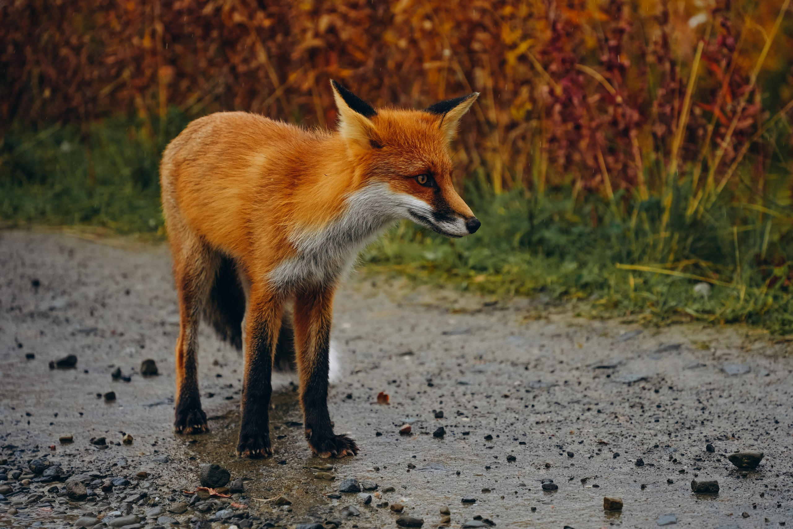 СЕВЕР. Event фотограф Степанова Александра