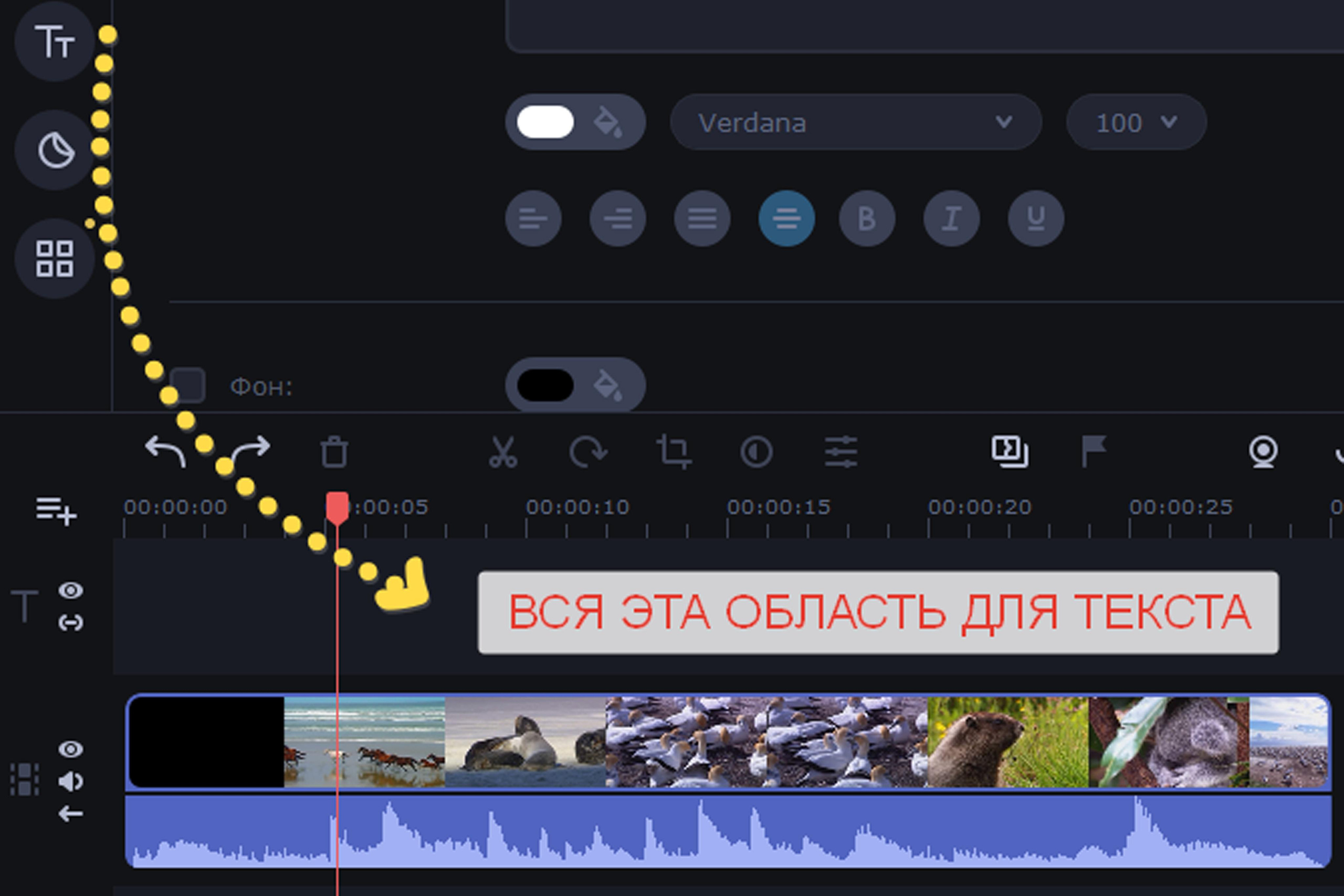 Nifertiti. Свадебный, семейный и школьный фотограф в Сызрани Максим Баталов