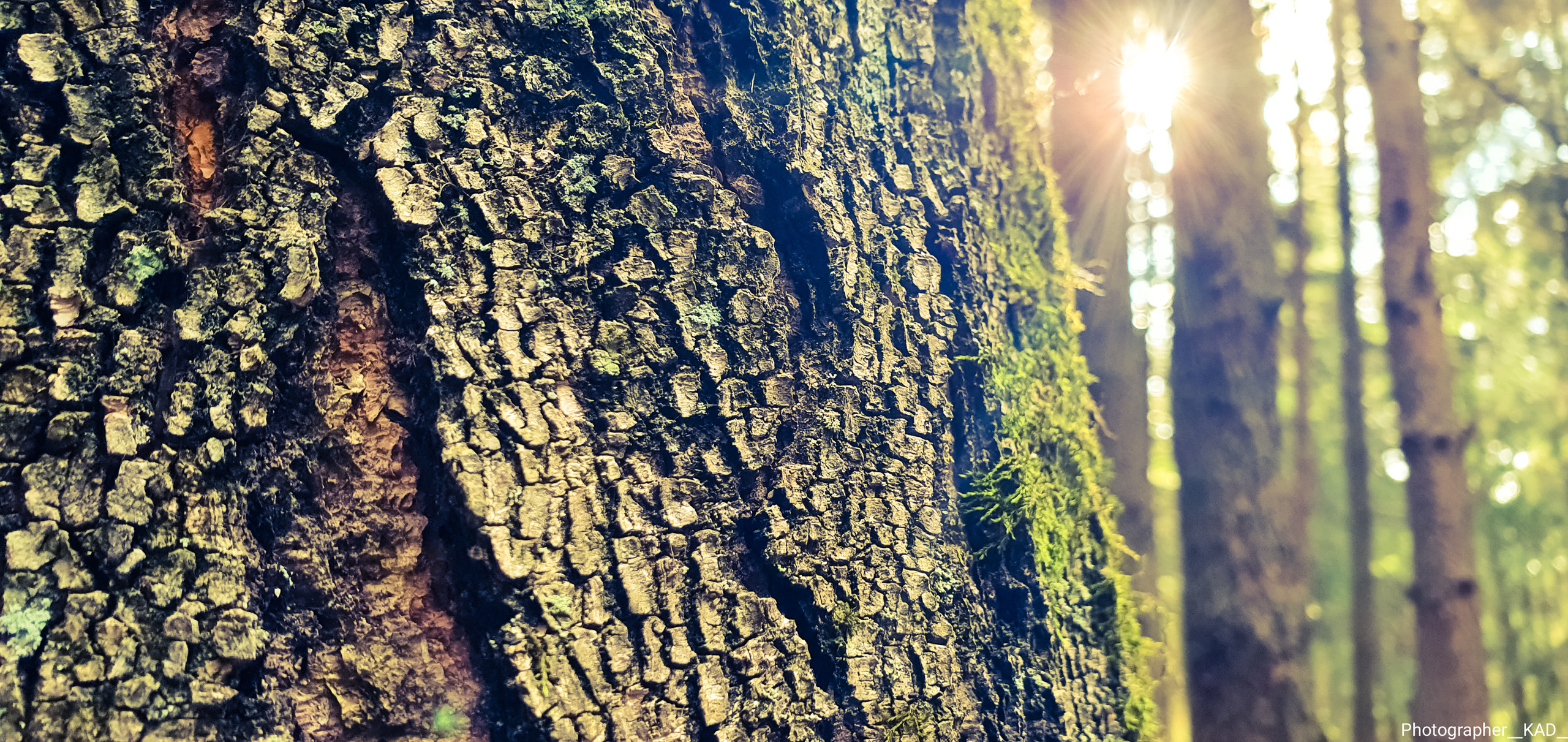 Макросъемка. Photographer K.A.D