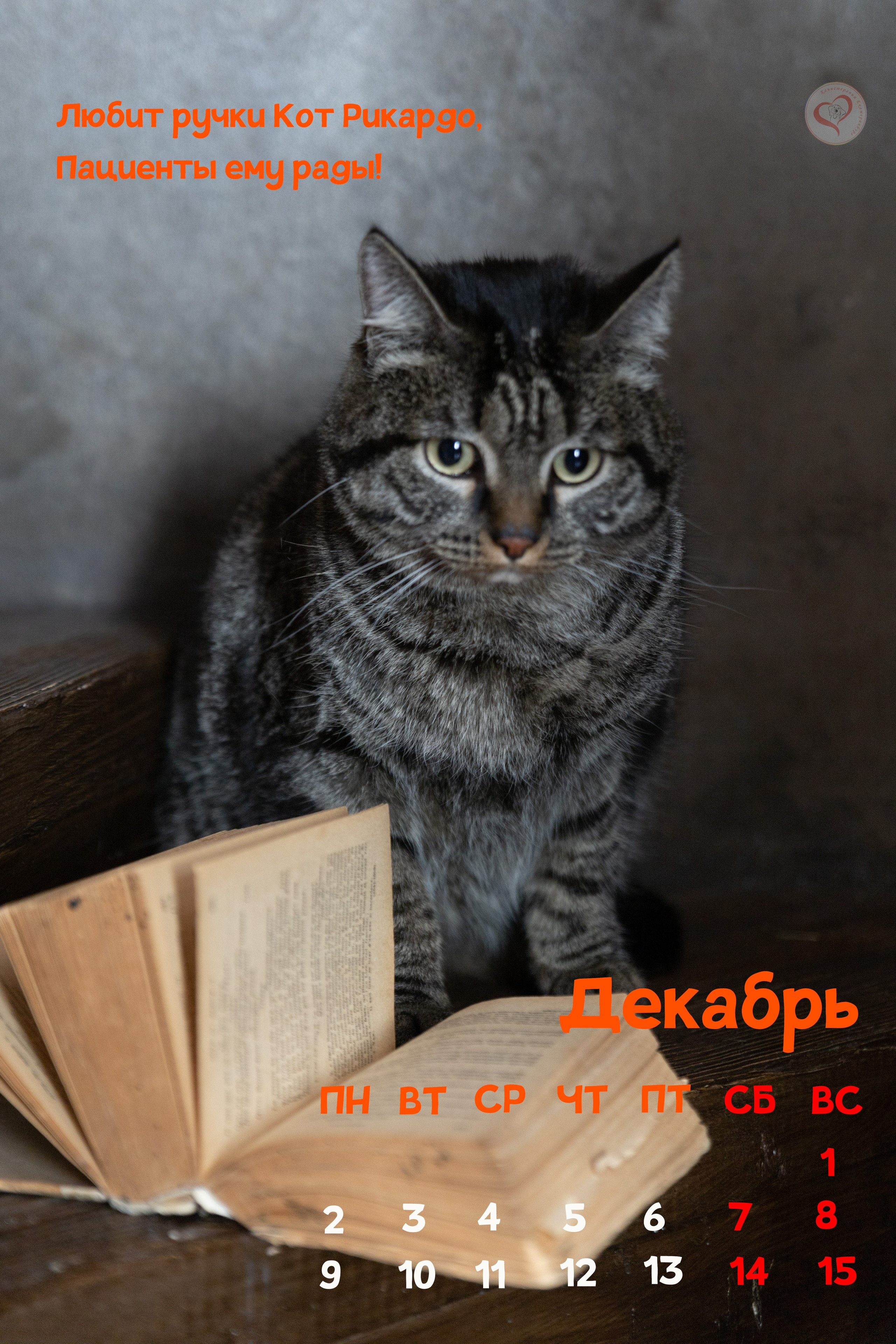 Календарь 2024 Канис. Фотограф Сергей Ушаков