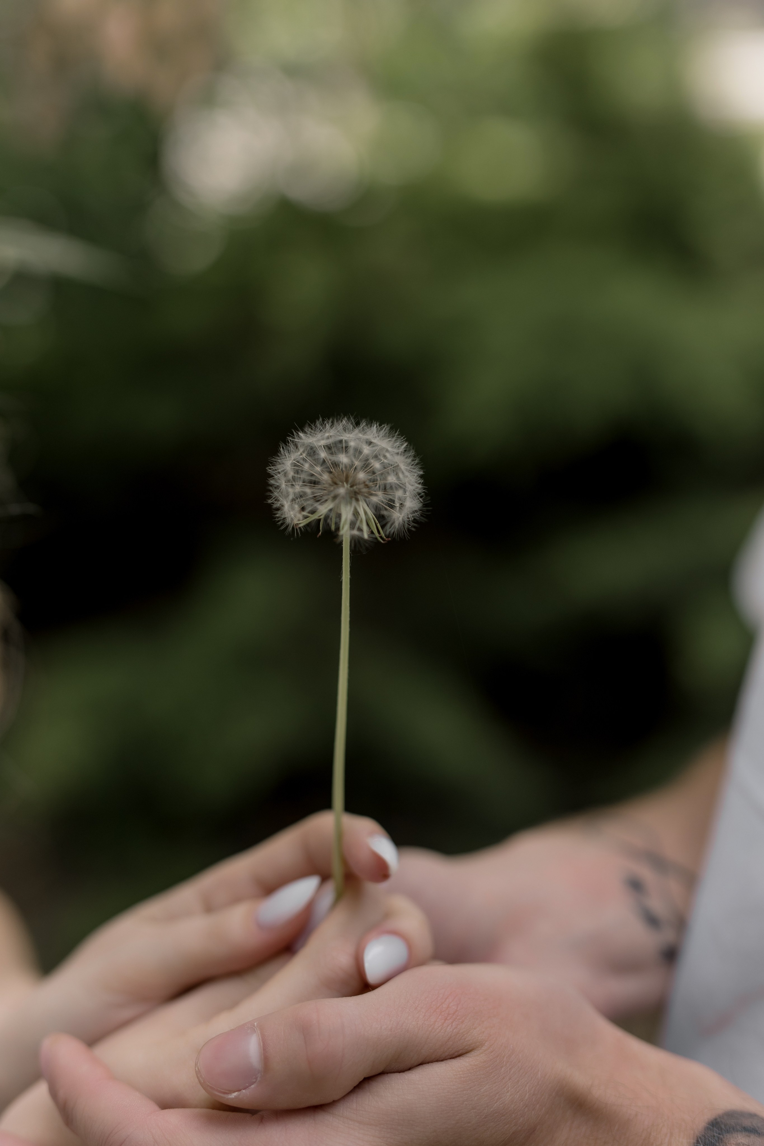 D & M. Свадебный и семейный фотограф в Астрахани Сергунова Наталья