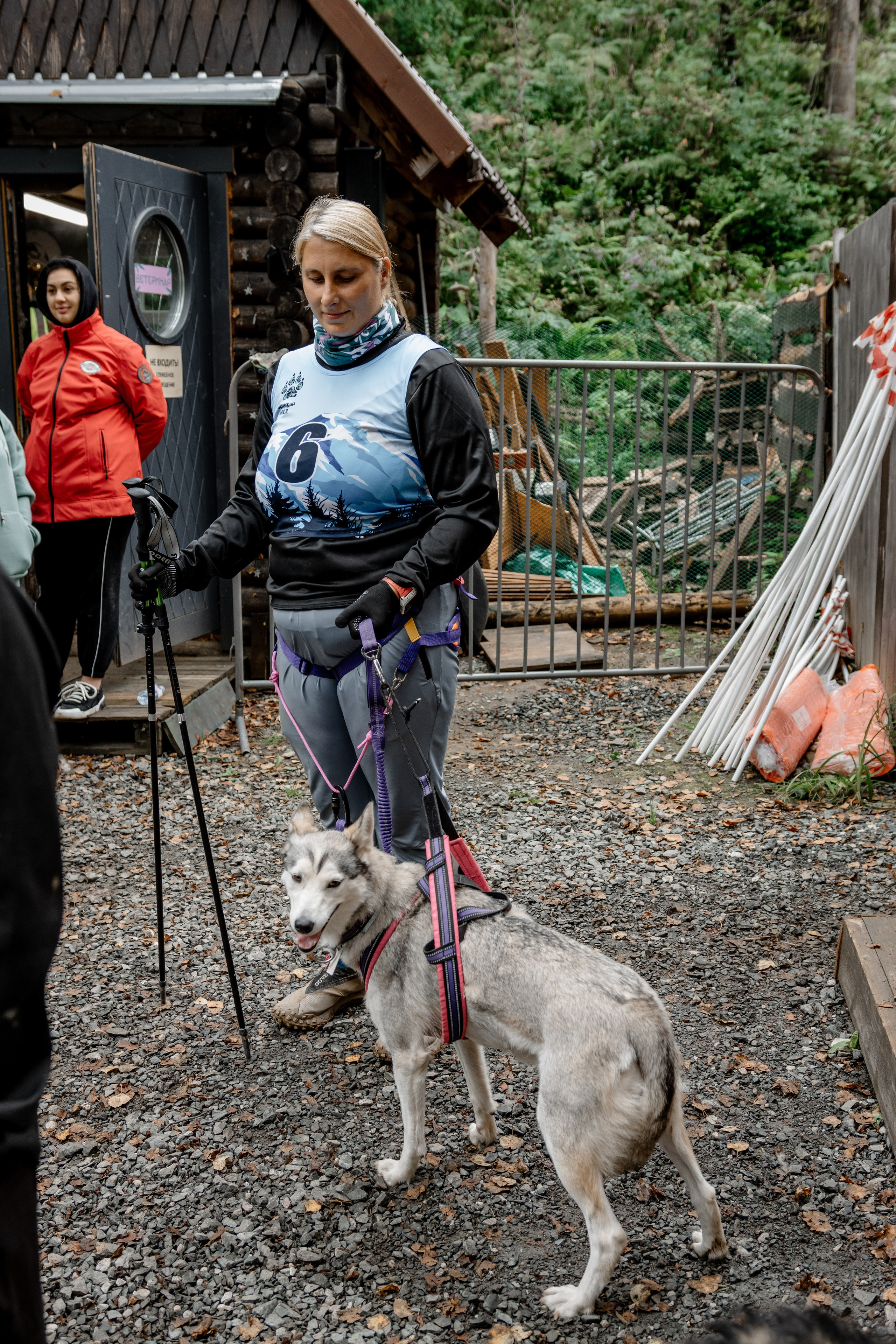 Дог-треккинг