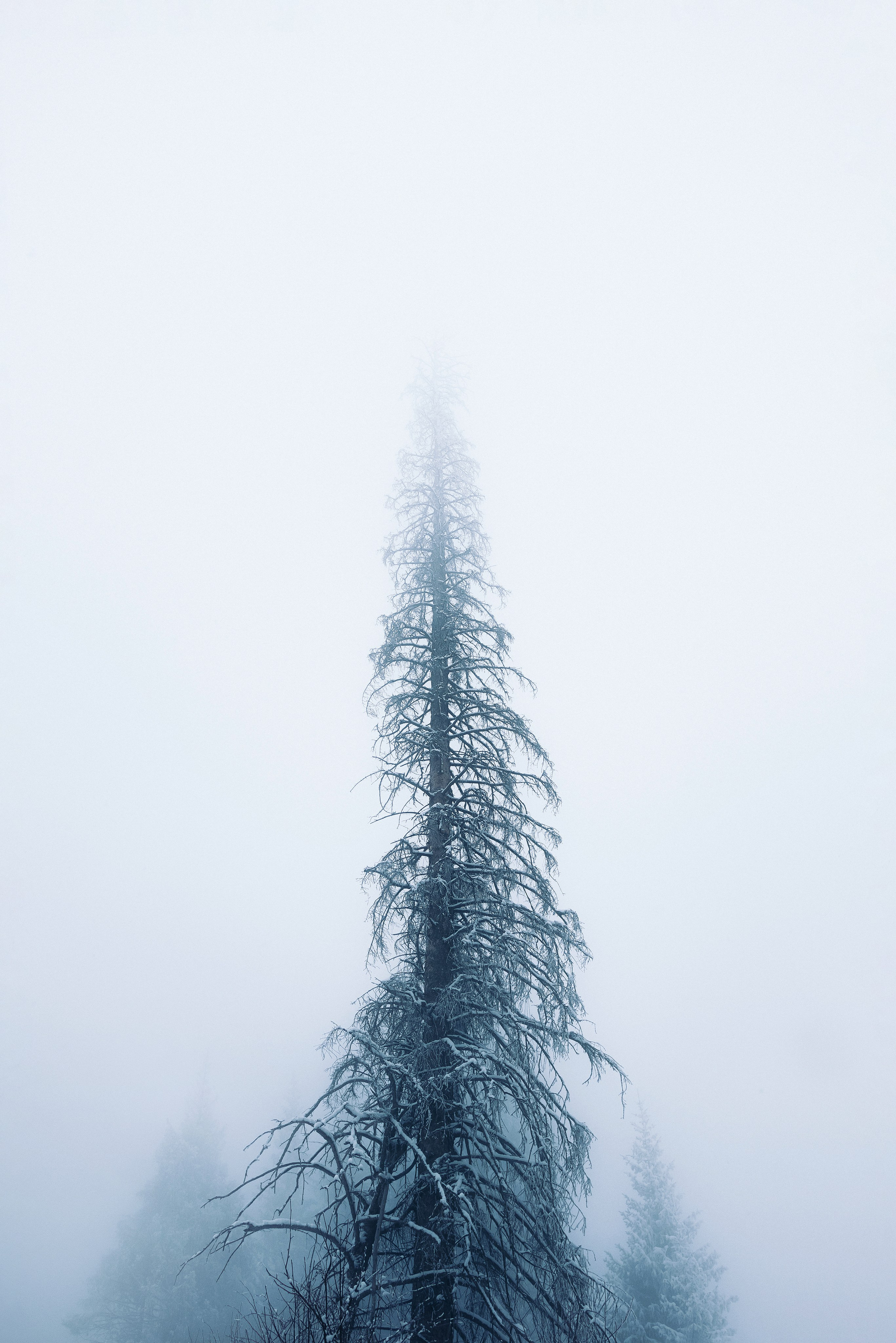 Жизнь. Фотограф Алматы | Весь мир — Никита Колодин