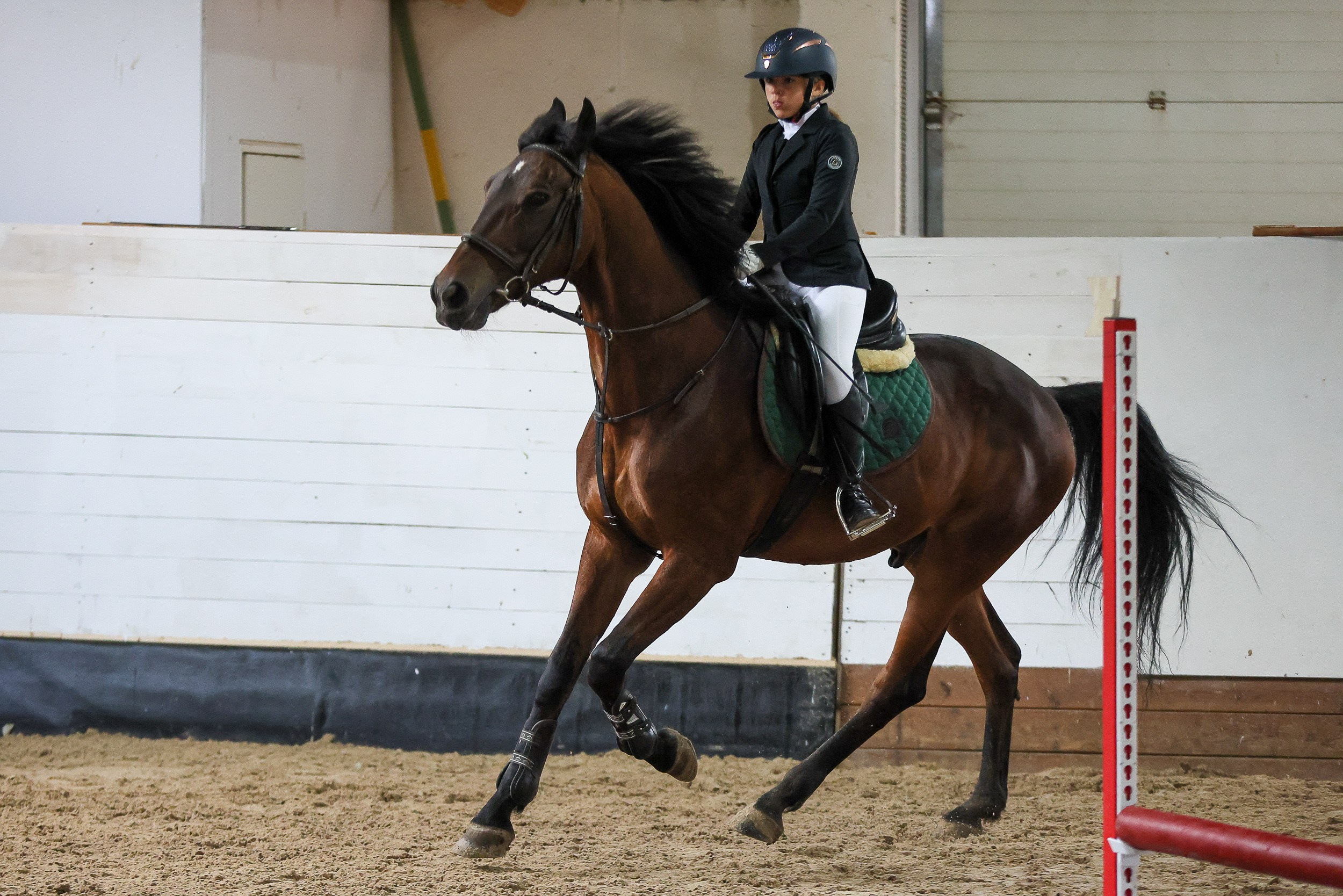 Конный спорт. Спортивный и корпоративный фотограф в Москве Олег Беспалов