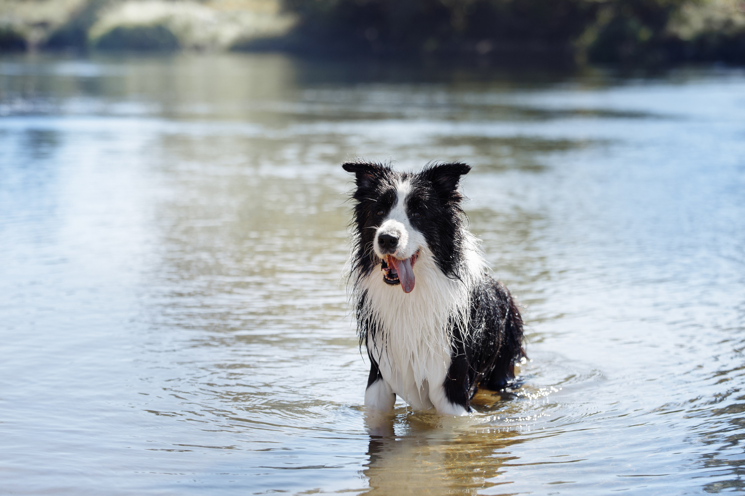 Водяные в Новотроицке. О нас