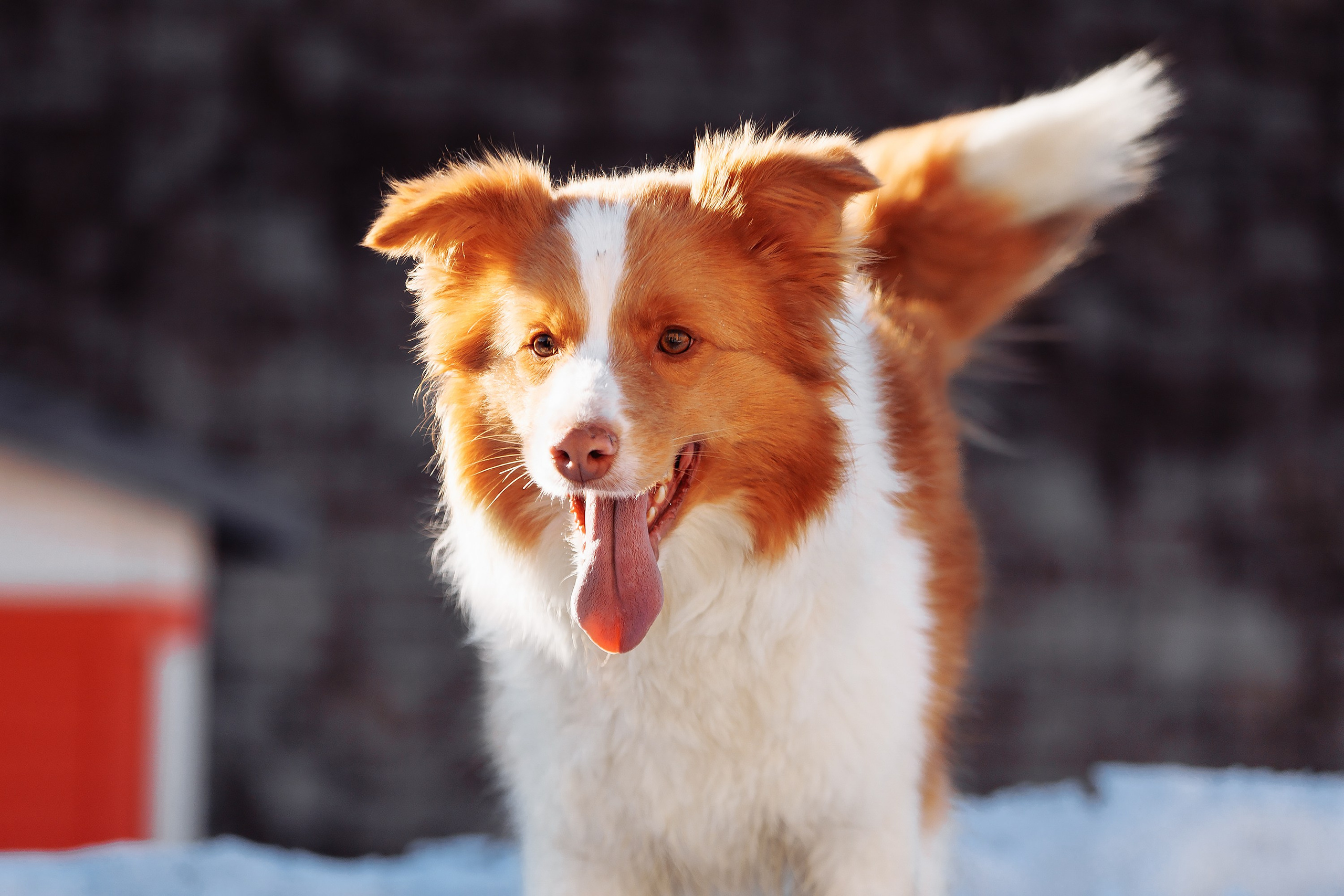 Пока таяло. О нас