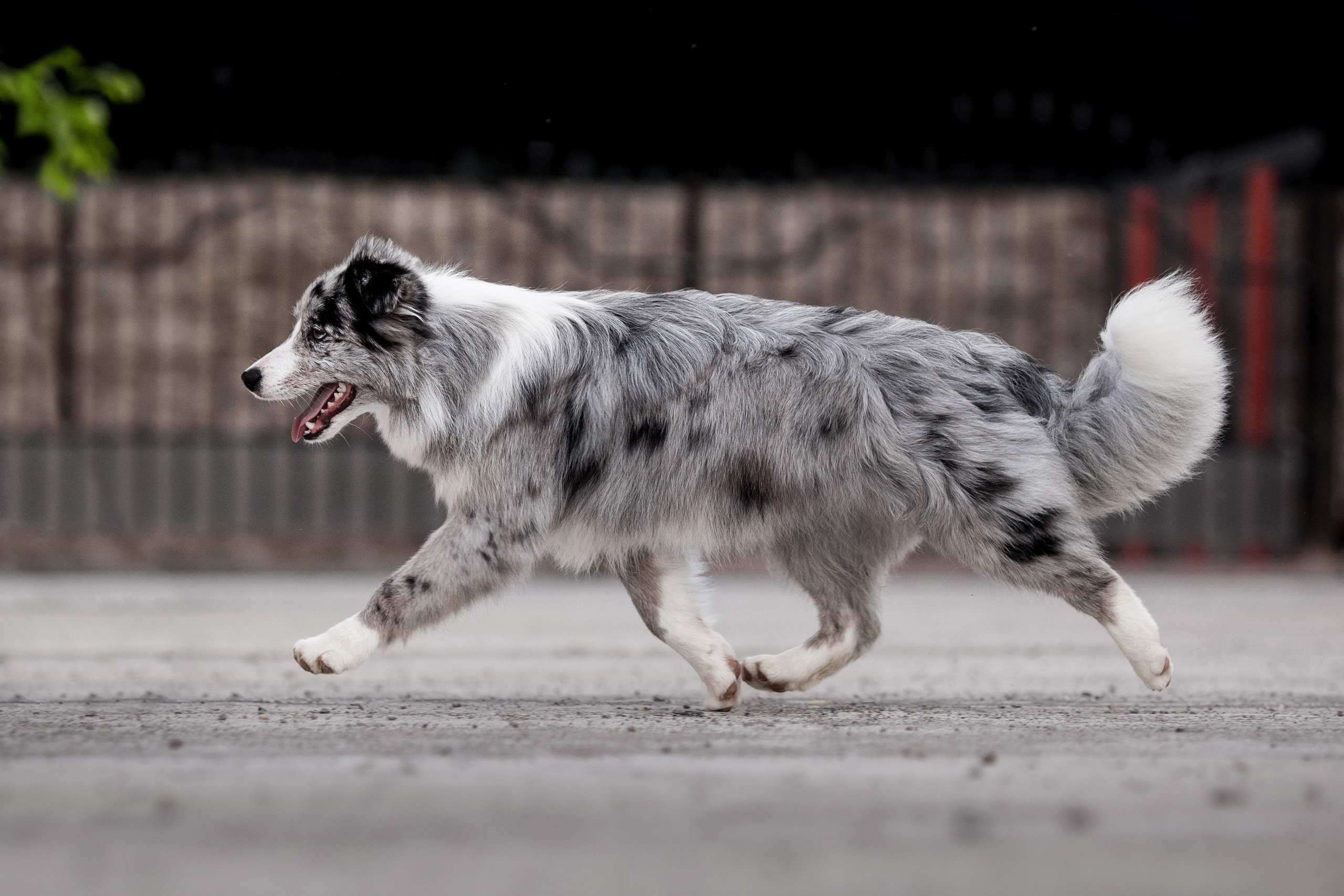 Роскошь в ростошах. О нас