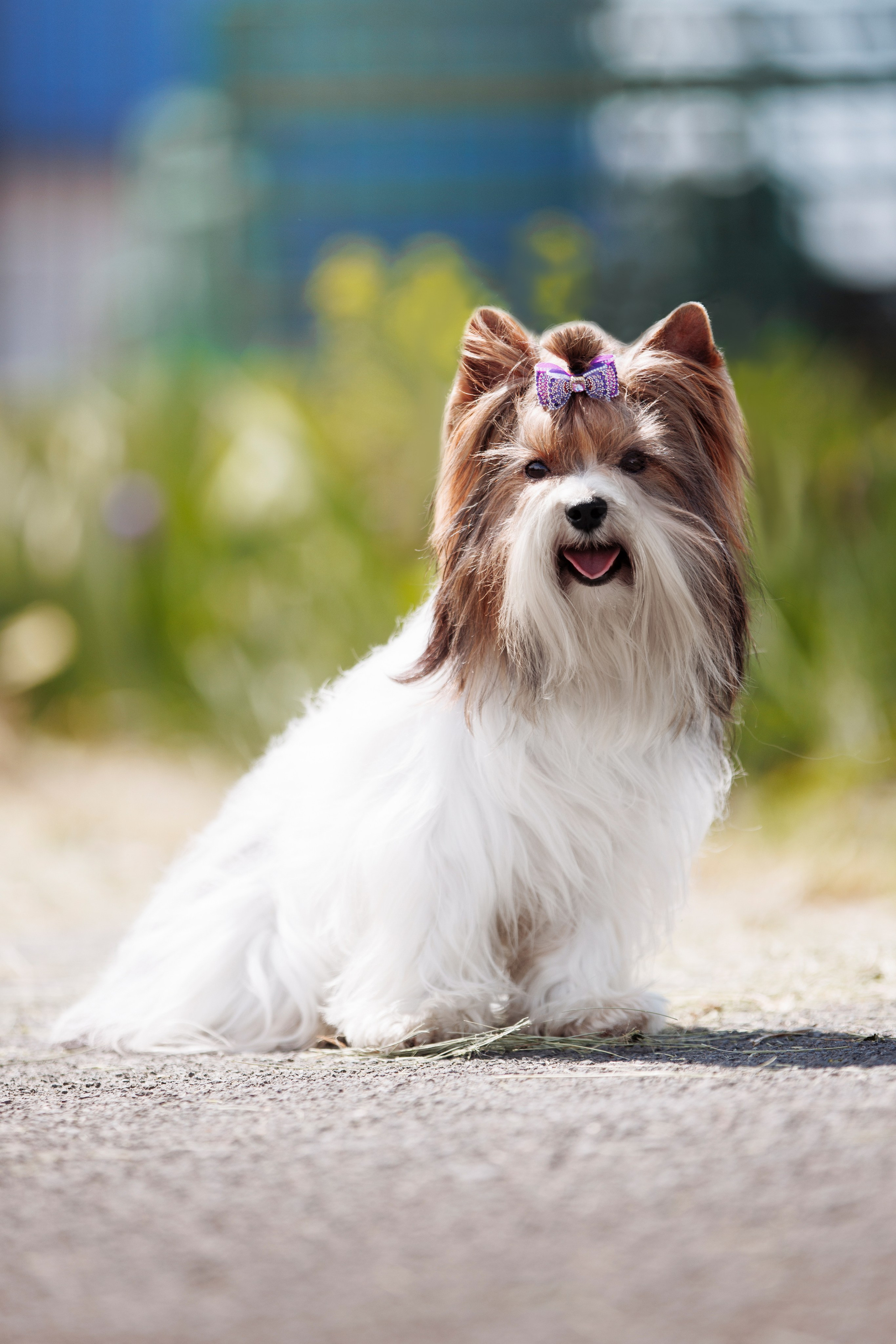 Такой разношерстный Орск 25. О нас