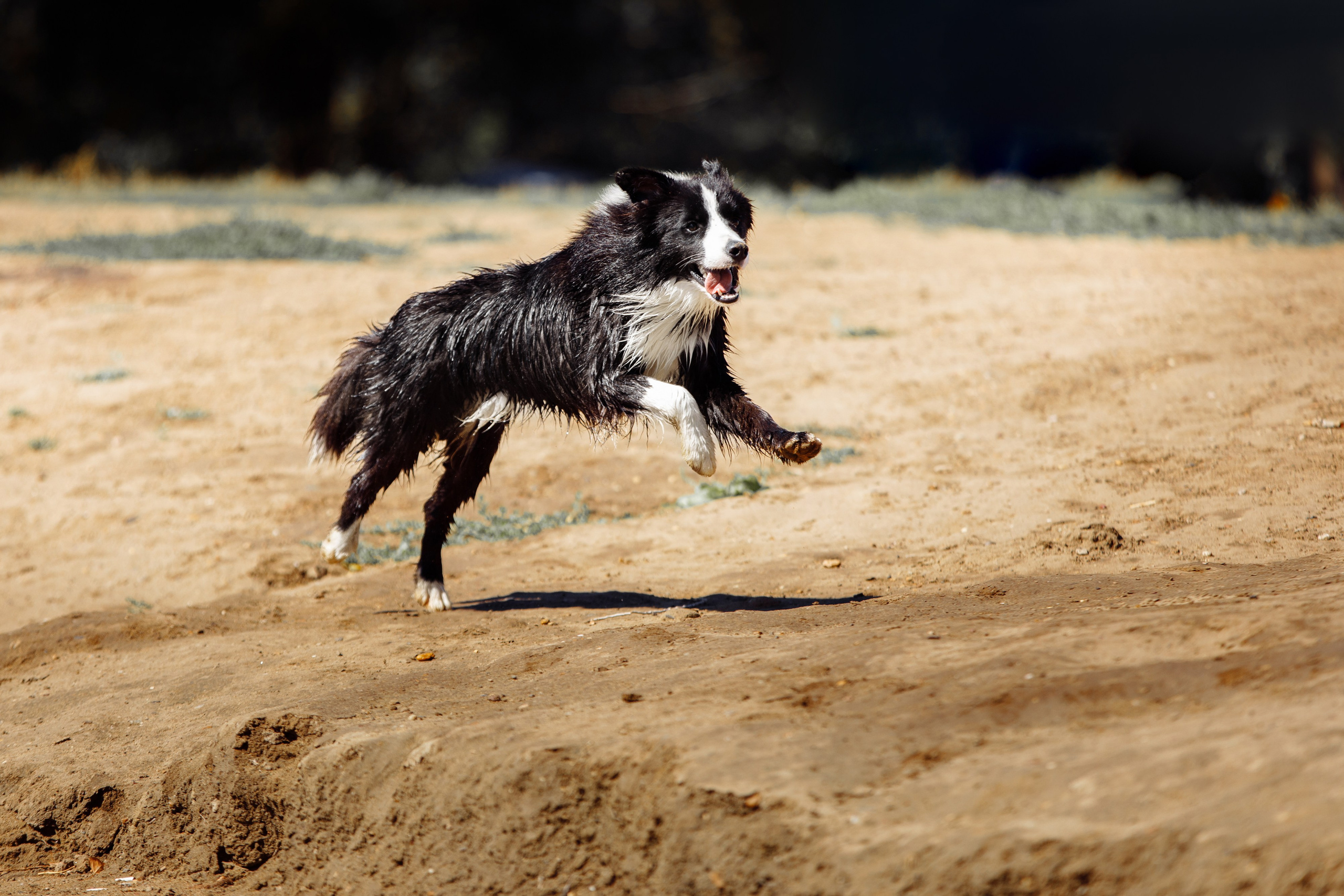 Водяные в Новотроицке. О нас