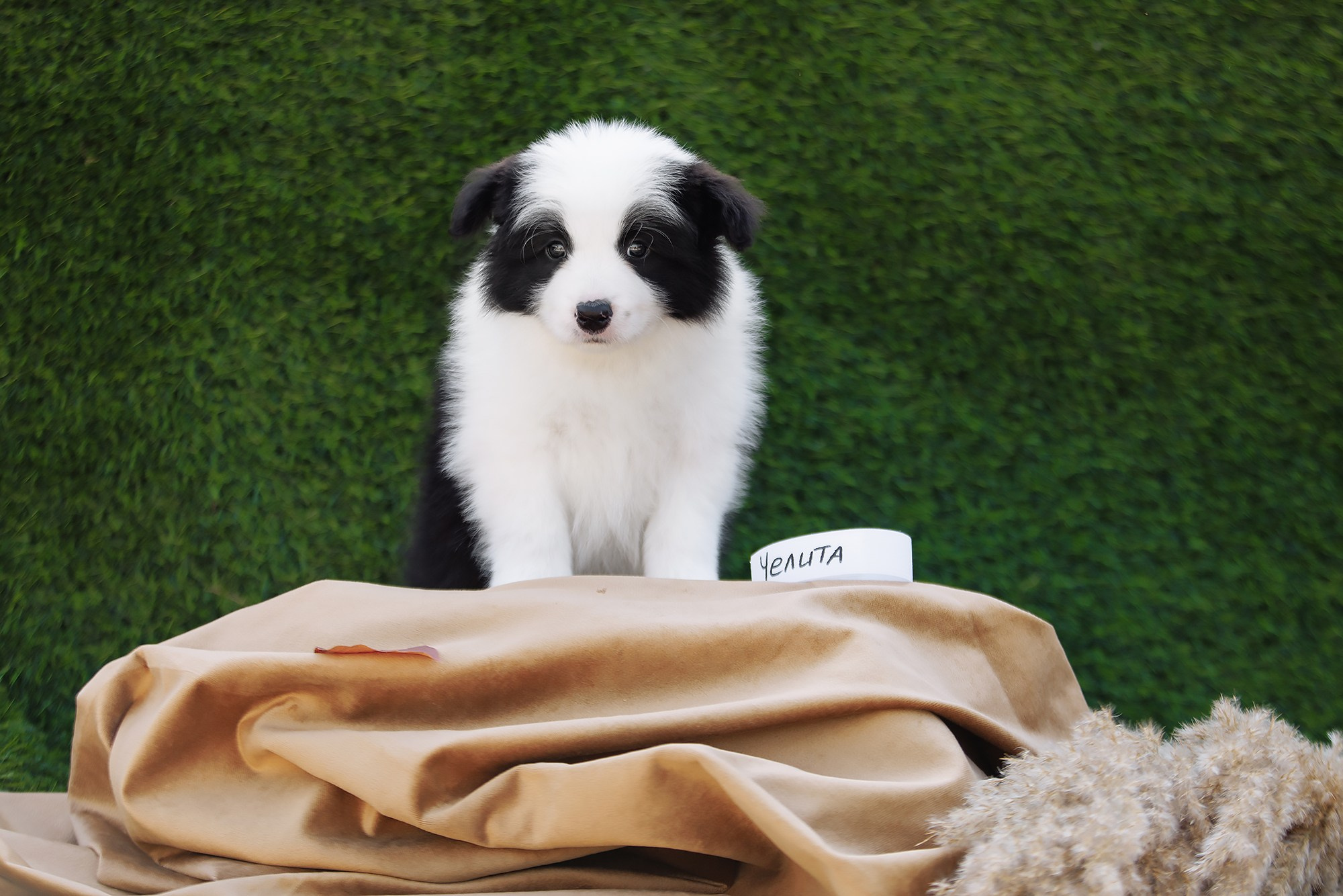 Новый лист. О нас