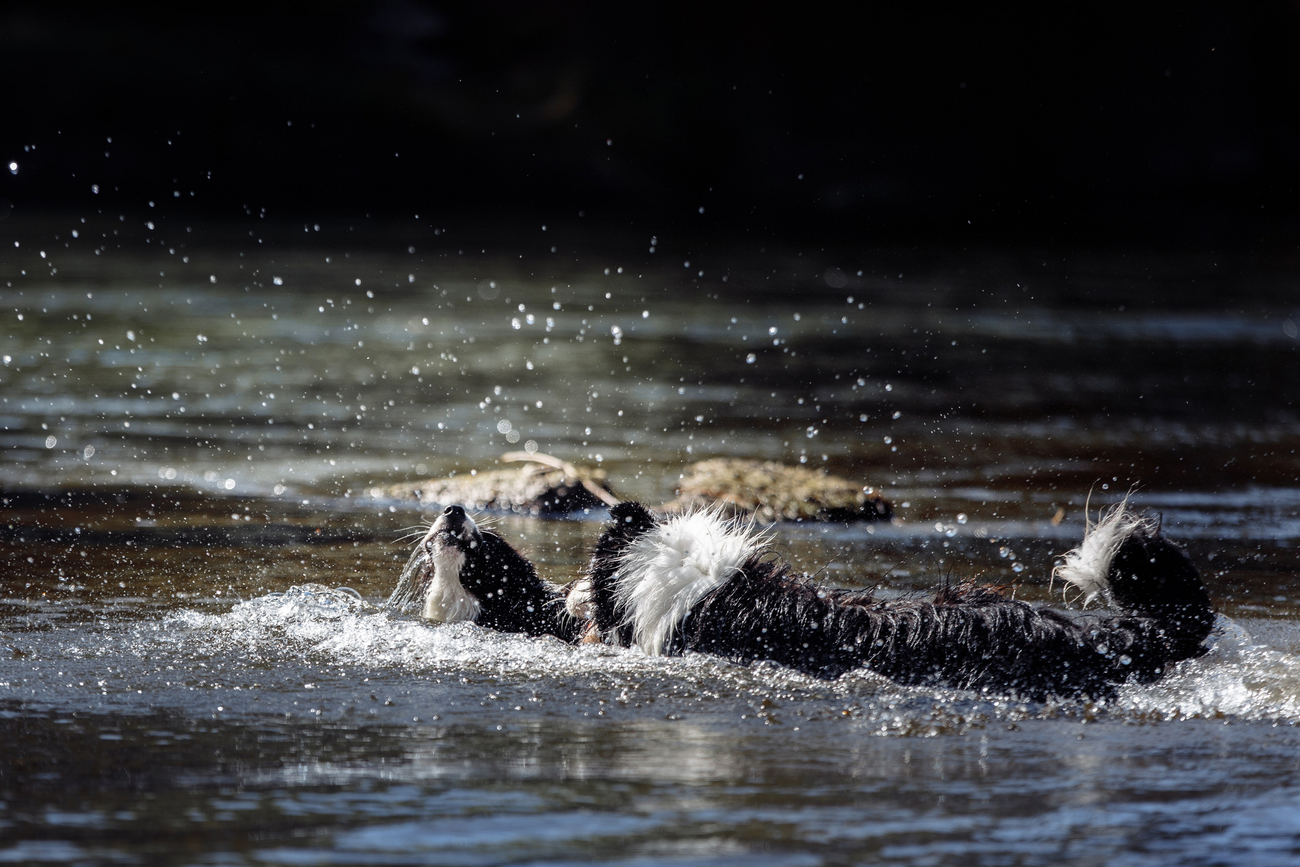 Водяные в Новотроицке. О нас