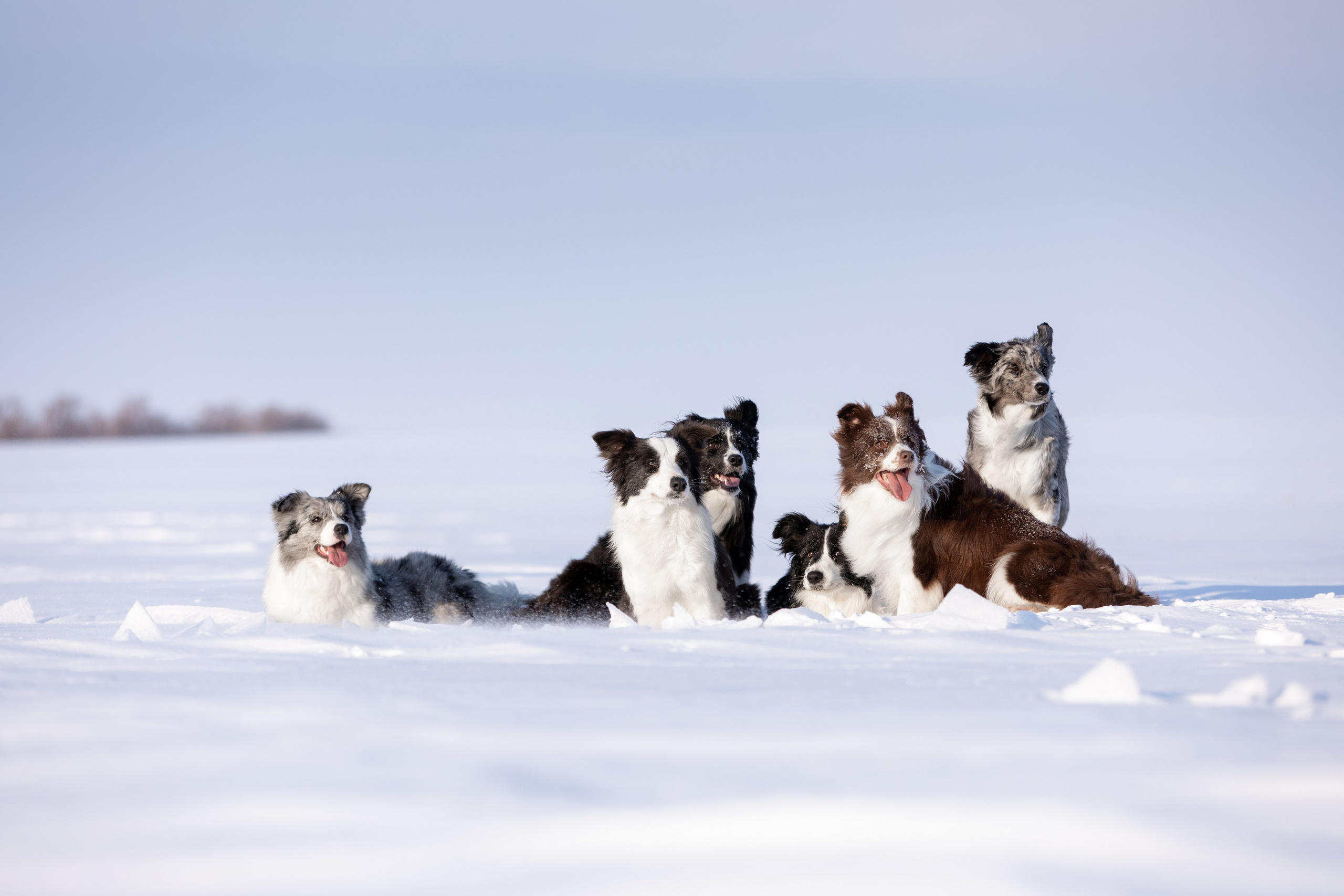 Мороз и солнце. О нас