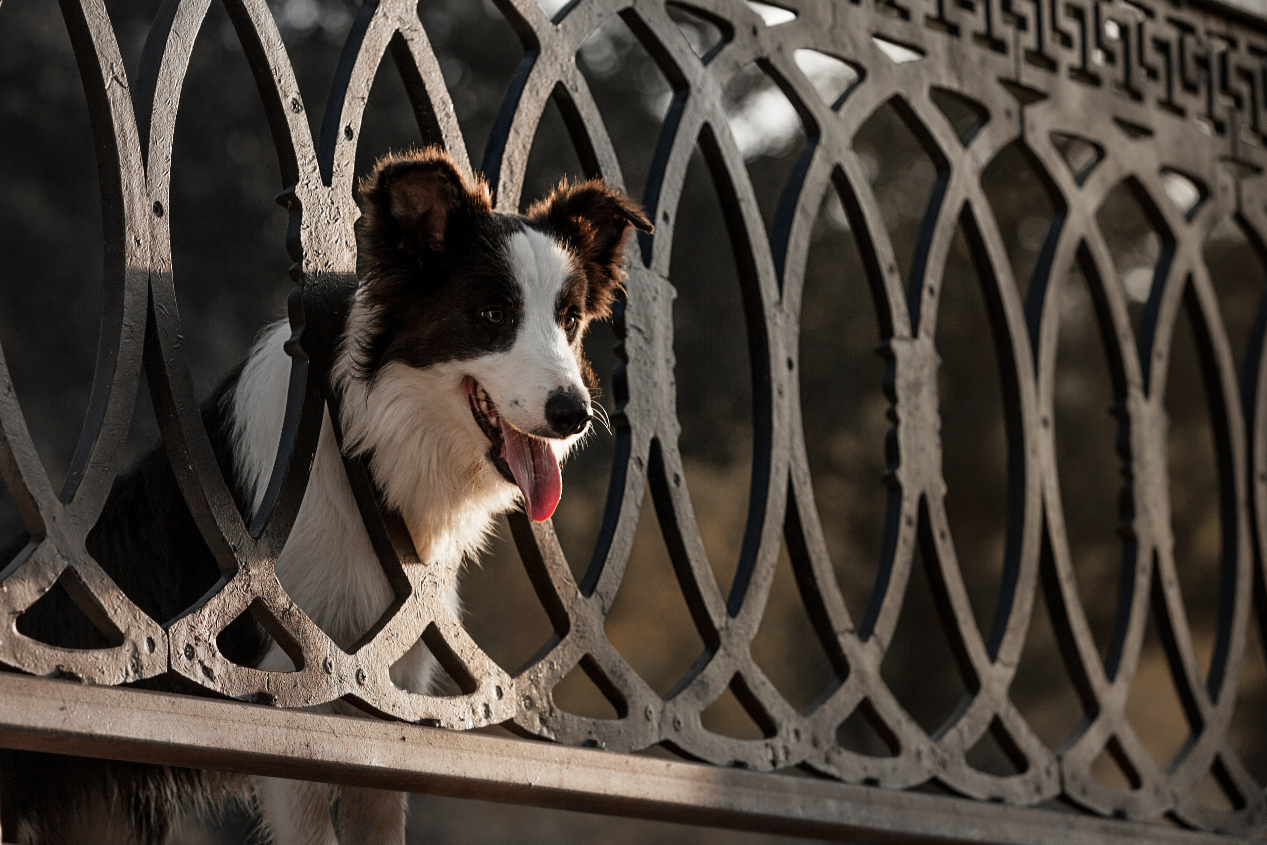 Сочный рассвет, на который решились. О нас