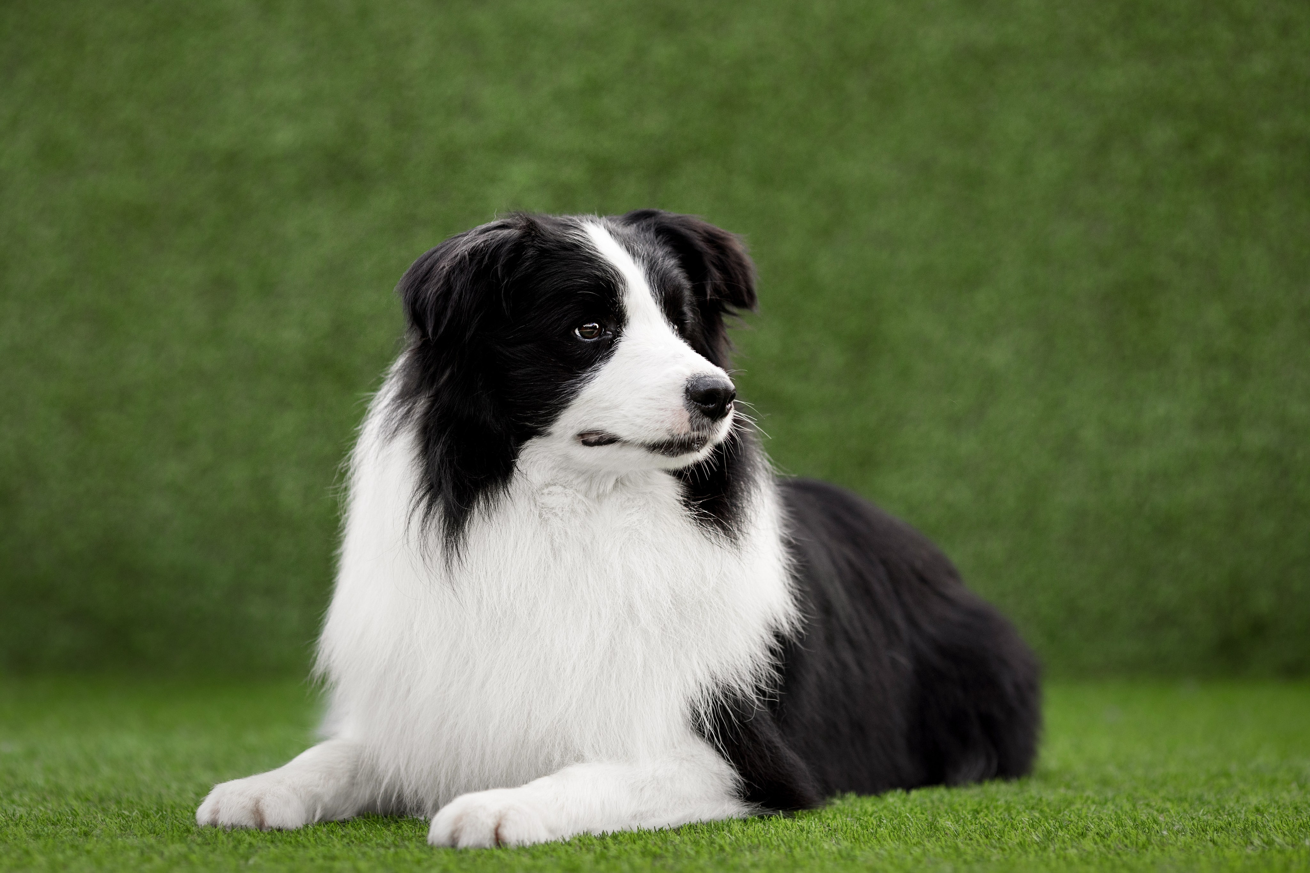 Роскошь в ростошах. О нас