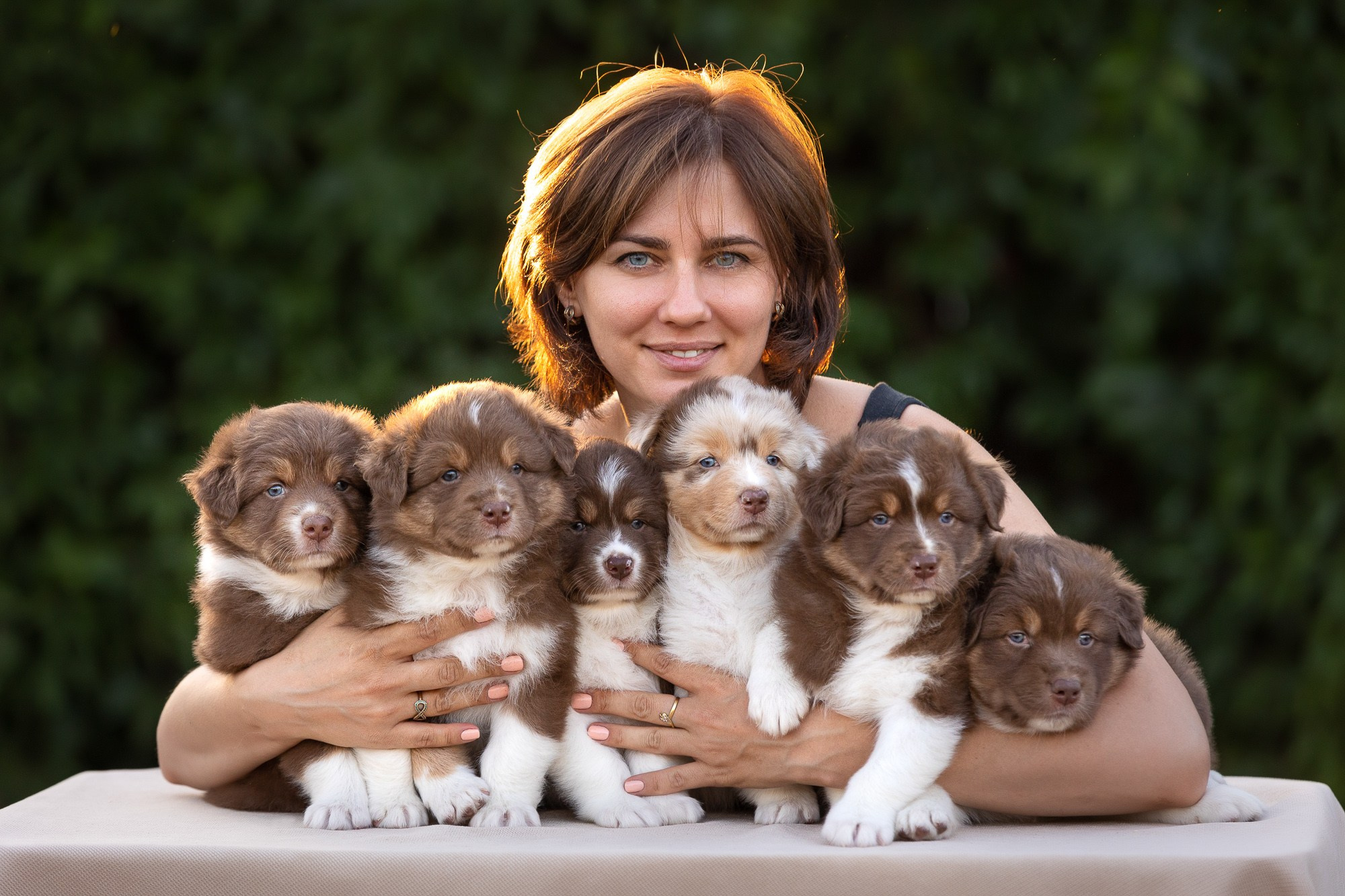 Фотосъёмки щенков. Фотограф-анималист Natalia Deingel | Фотосъемка собак в Москве