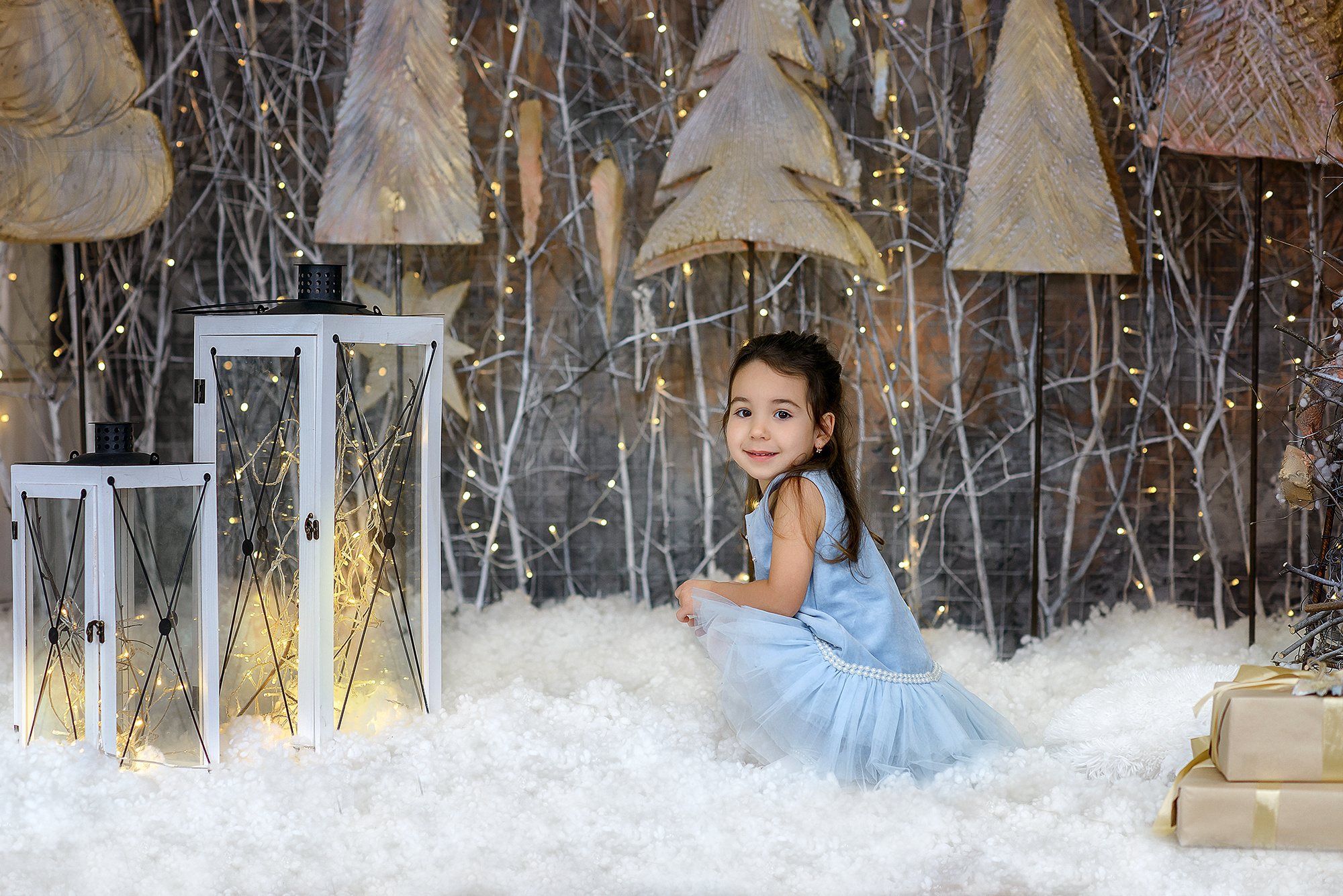 Новый Год. Семейный фотограф в Минске Виктория Дубровская