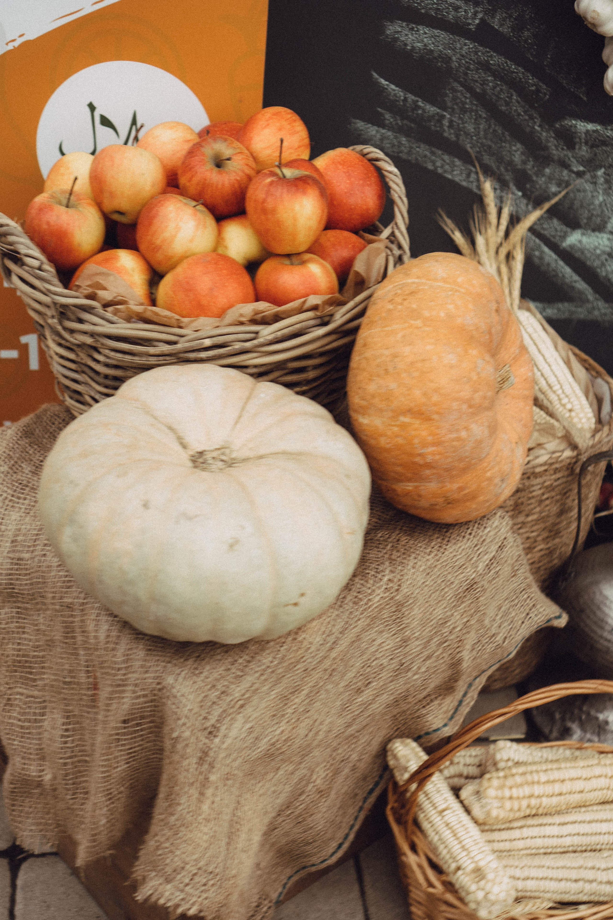 Кавказ. Профессиональный фотограф, Санкт-Петербург — Виктория Богомолова