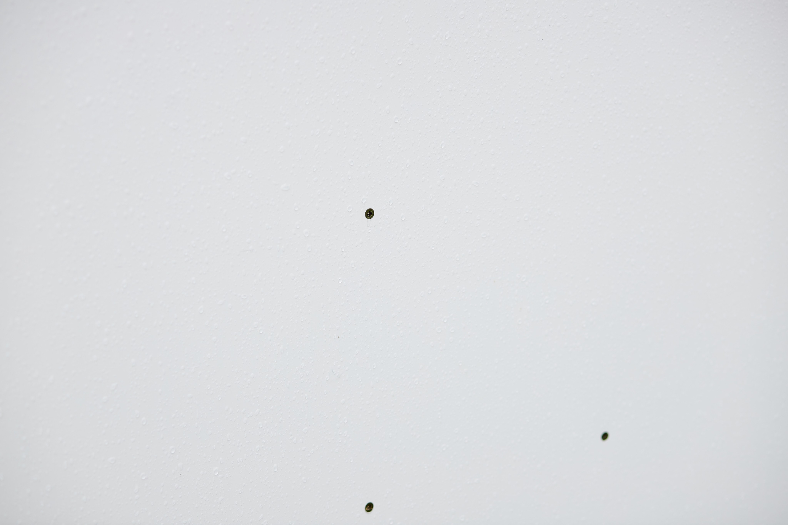 Открытие хоккейной площадки с Федором Конюховым. Репортажный Фотограф