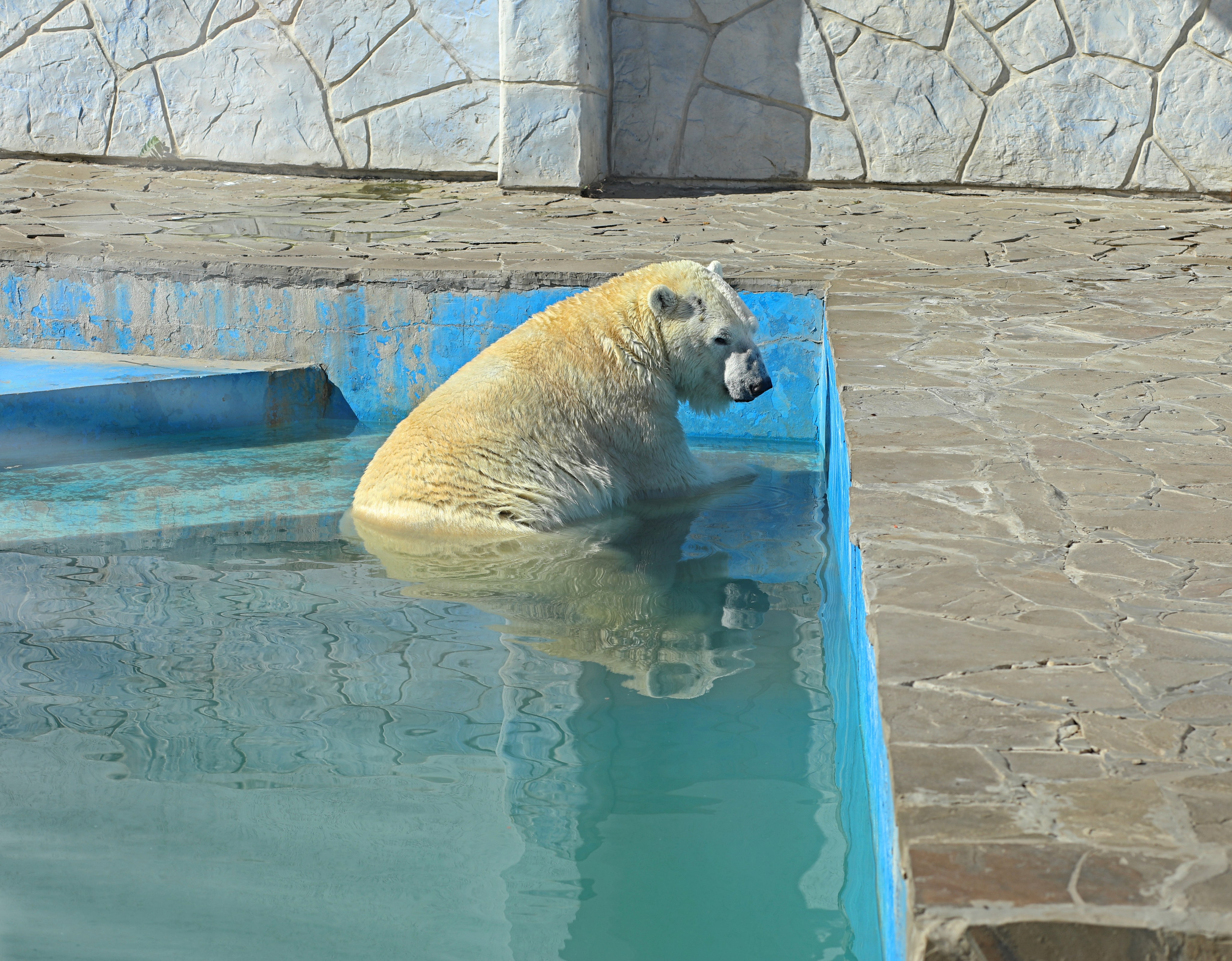 Ростовский зоопарк. Фото-художник и Репортажный фотограф Николаев Александр Алексеевич