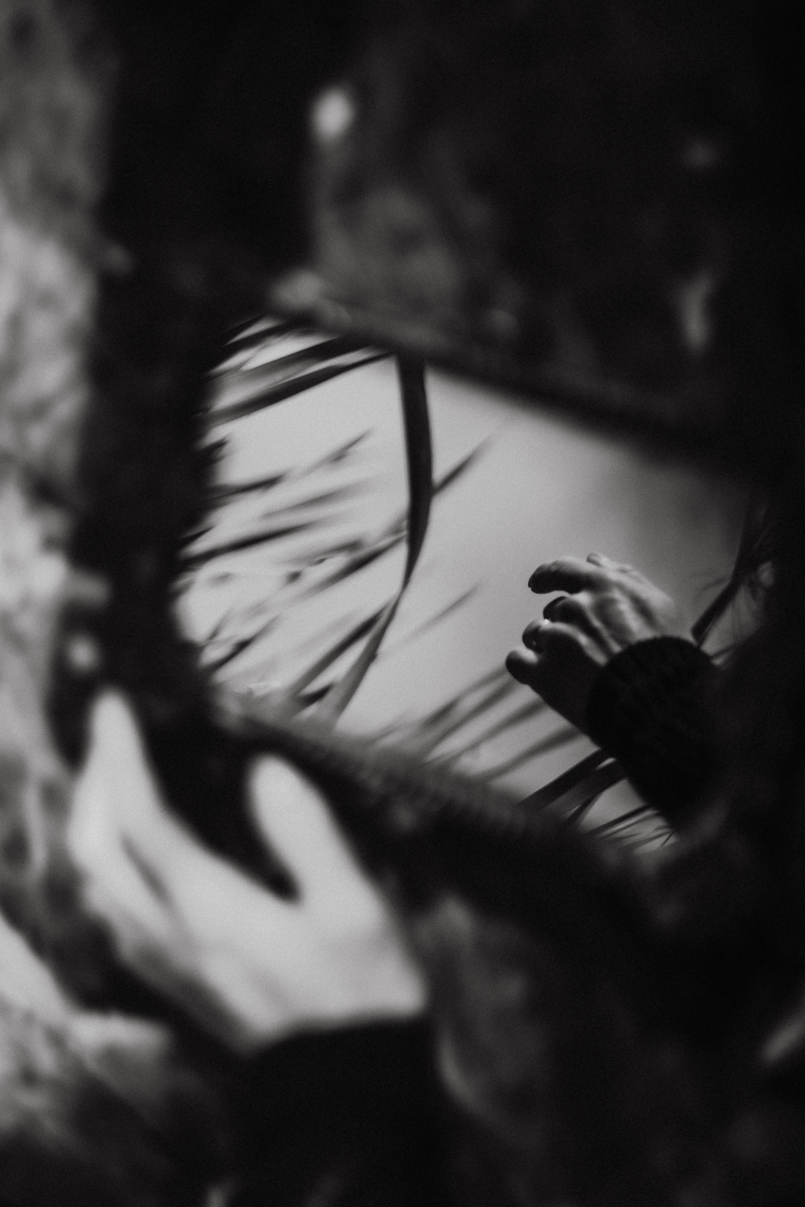 Жанна. Болото.Рогоз. Фотограф в Нижнем Новгороде