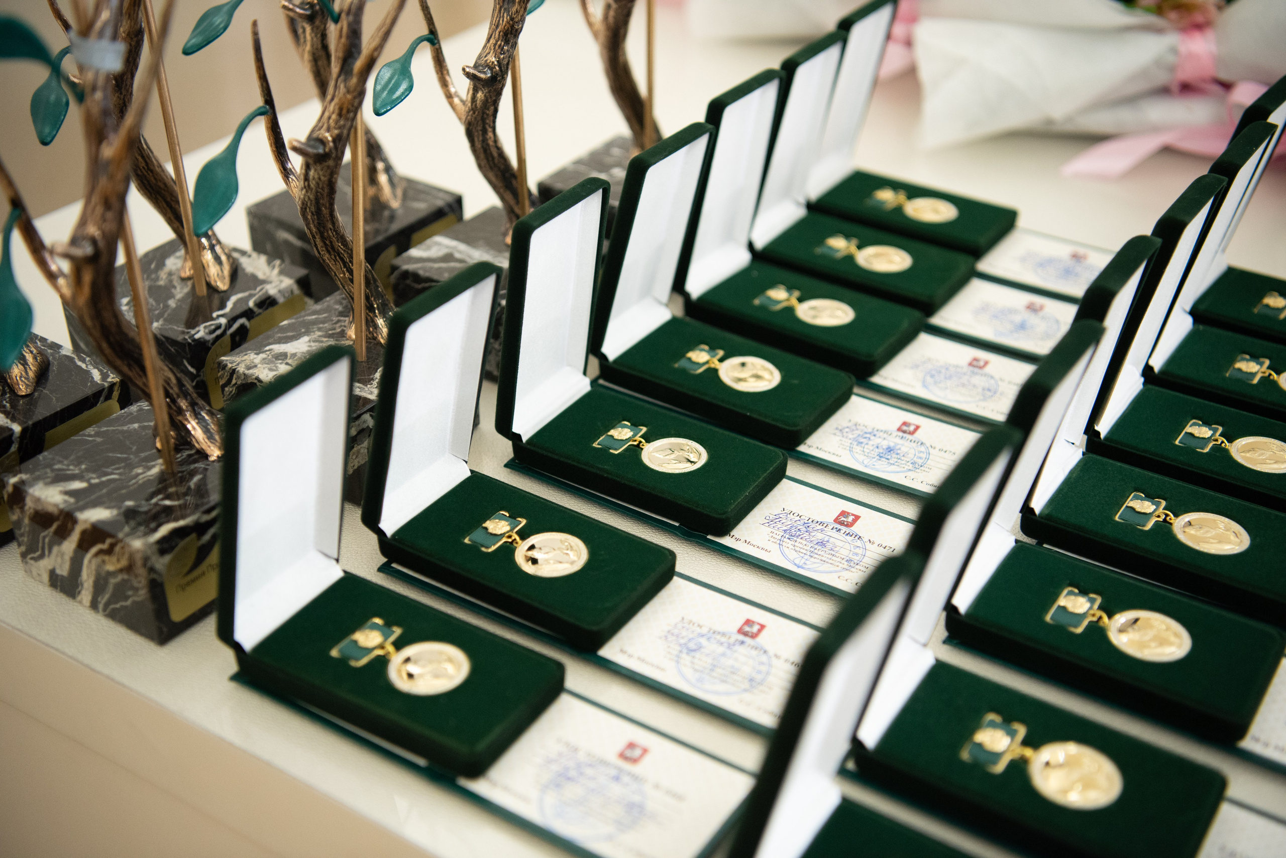 Климатические сессии | Правительство Москвы. Photographer | Moscow | Daria Novikova