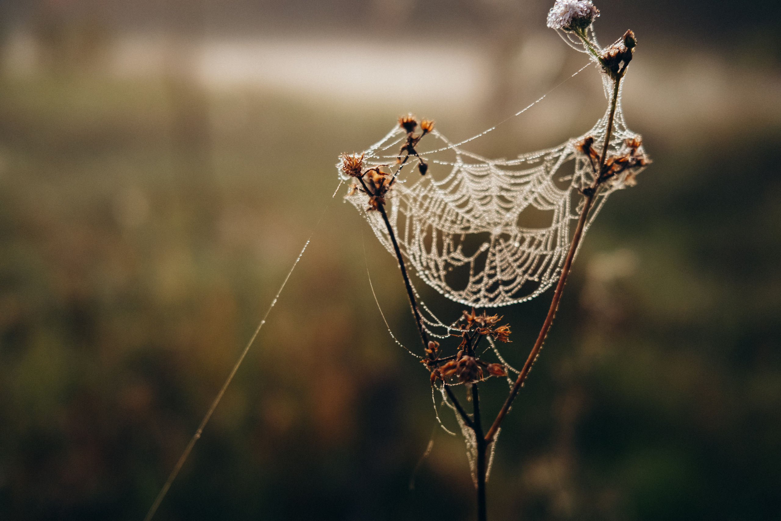 Antonio & Katherin Wedding ceremony in Bali. Фотограф Бали